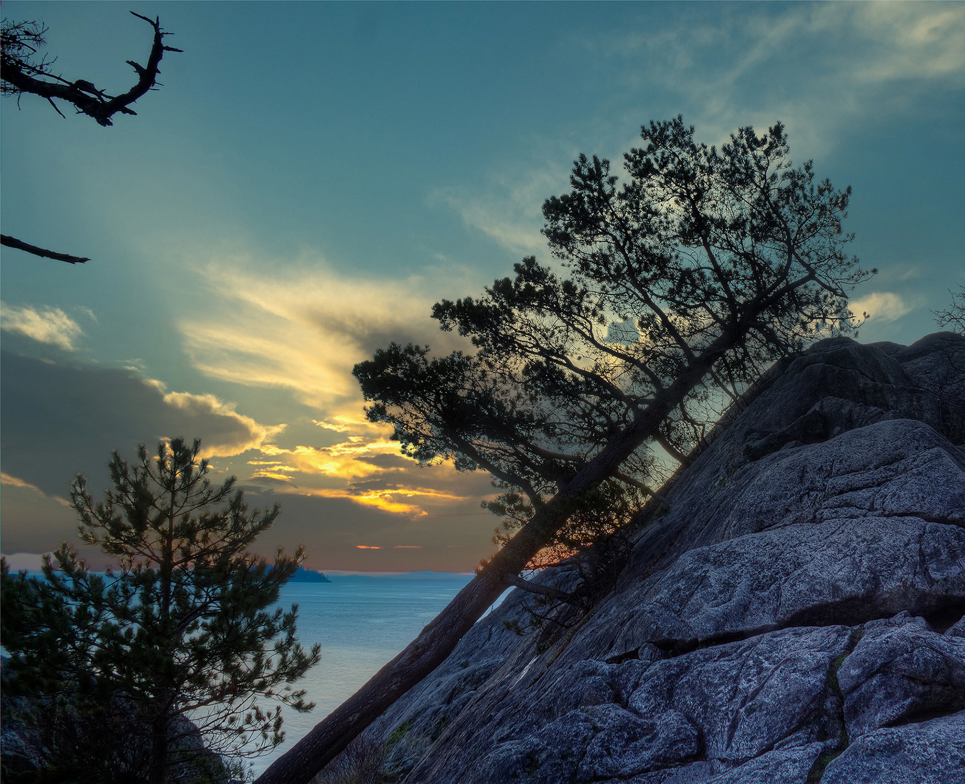 Rest -- DRAGO TUTNJEVIC