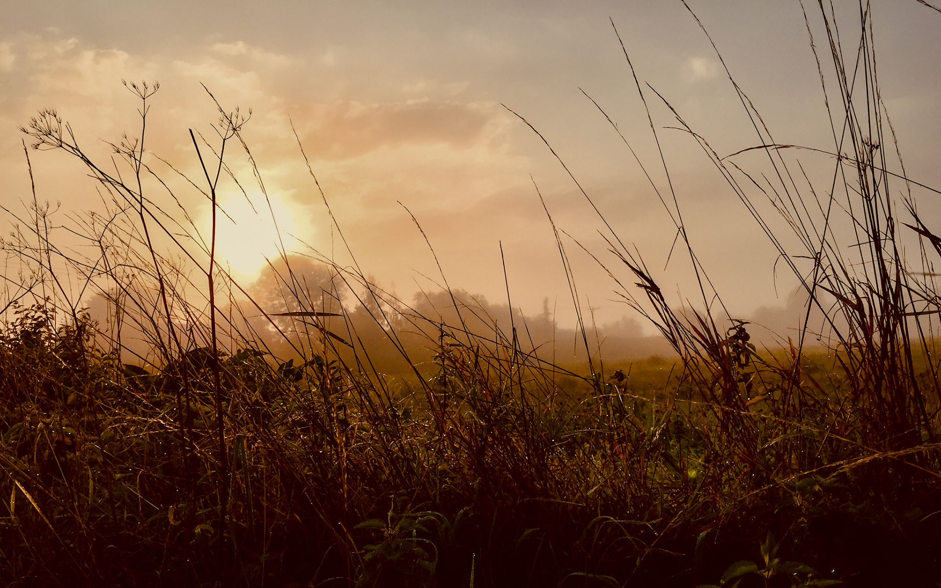 Grundisburgh, Suffolk