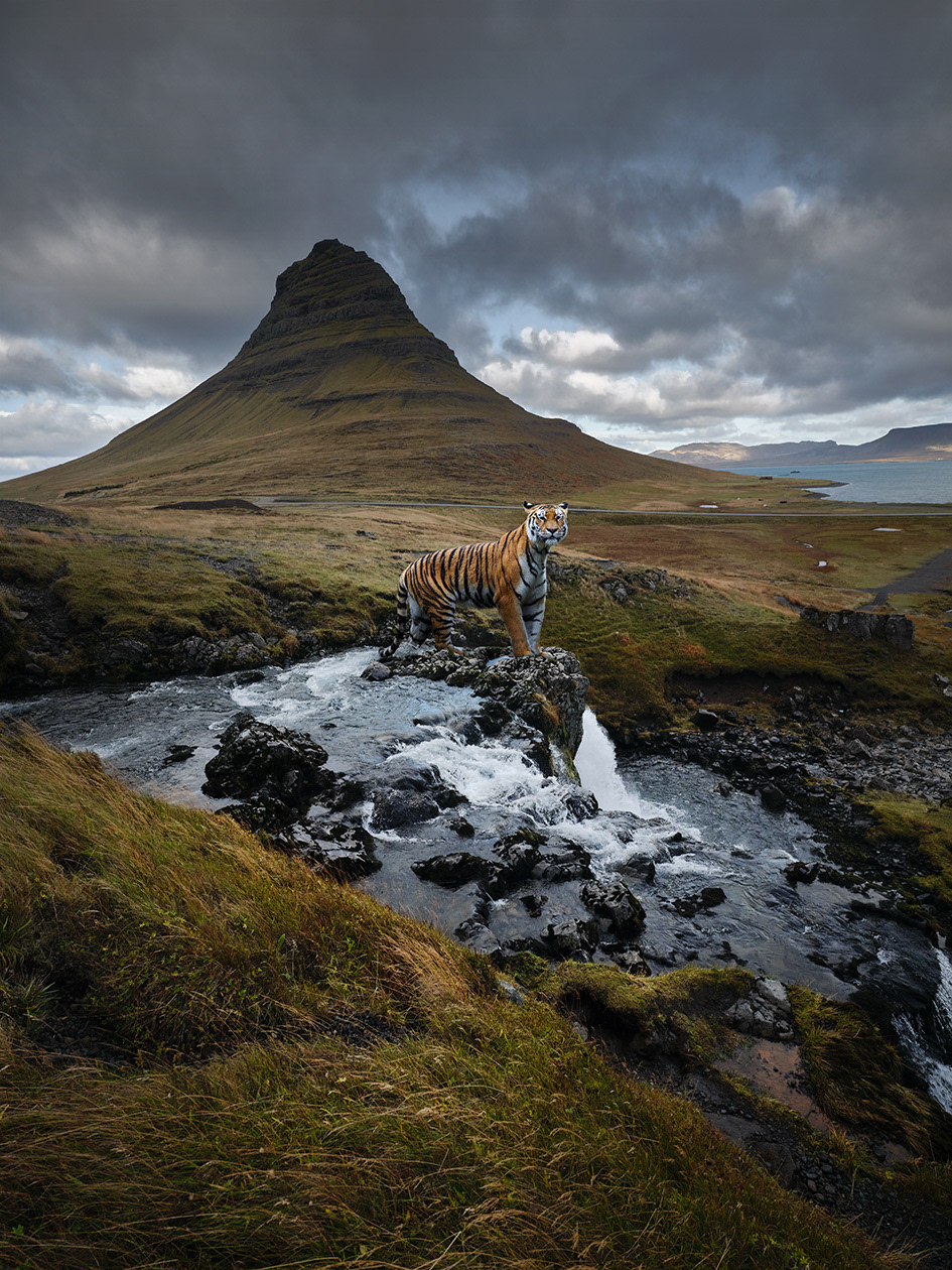Islande #5