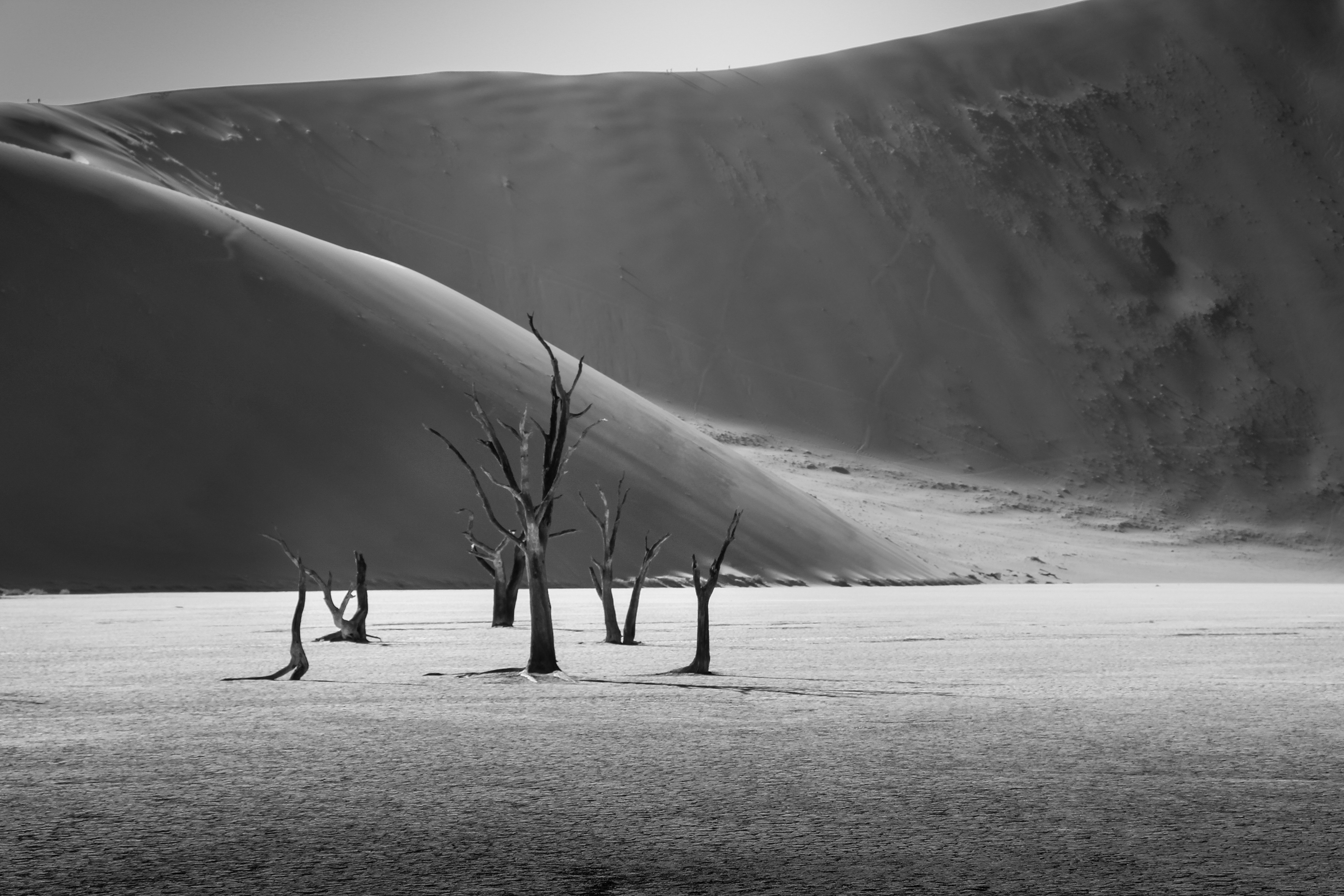 Deadvlei, Namibia