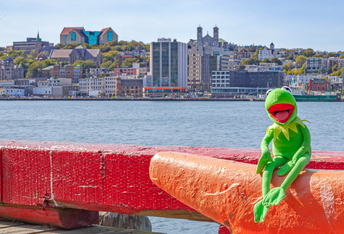 Downtown St. John's