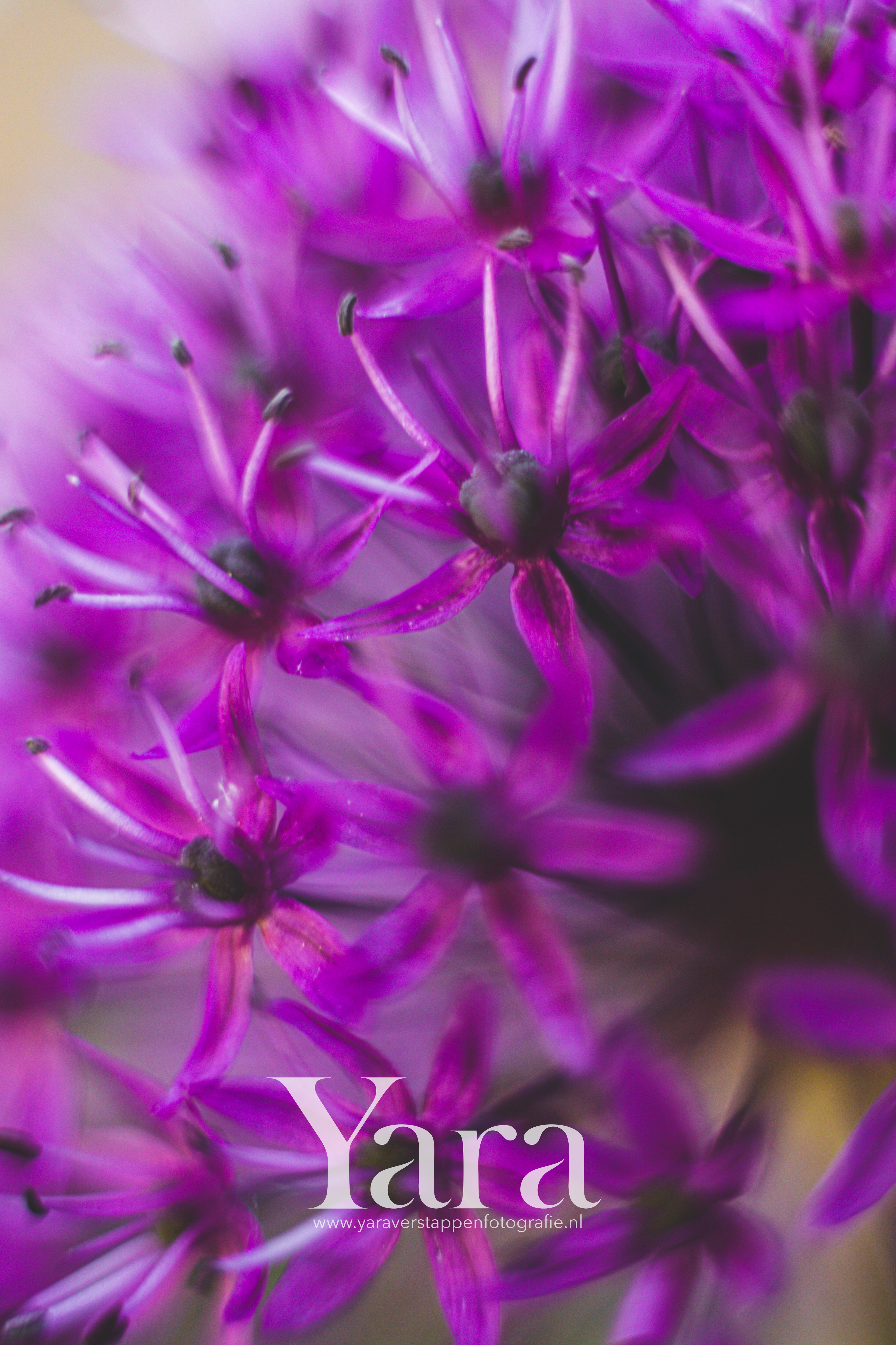 024 - Macro