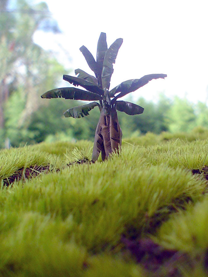 Brass banana tree, painted with acrilics, weathered with oils.
