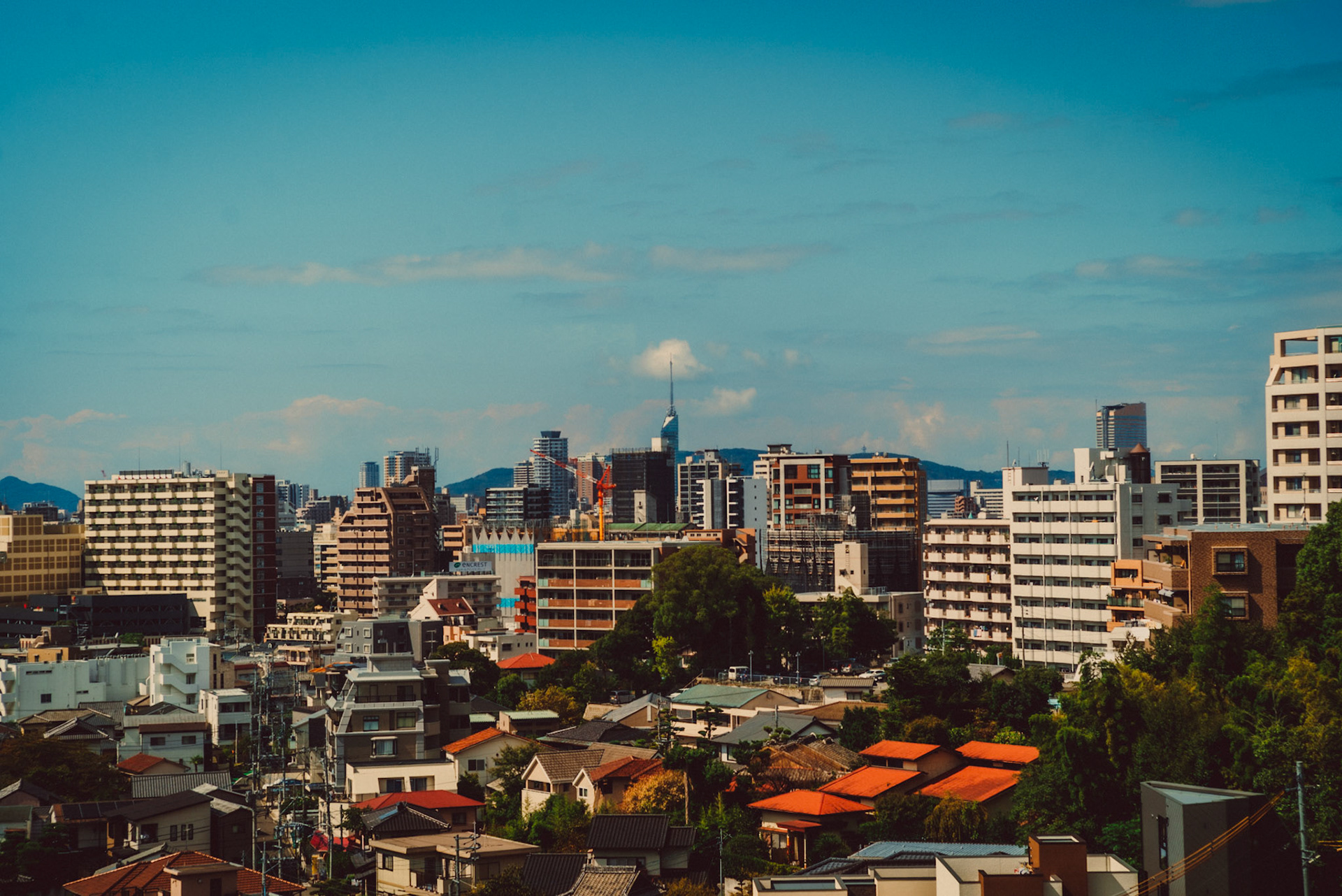 The city's skyline from IMURI with Fukuoka Tower in the background, Fukuoka, Japan, October 2018, Sony A7SII.