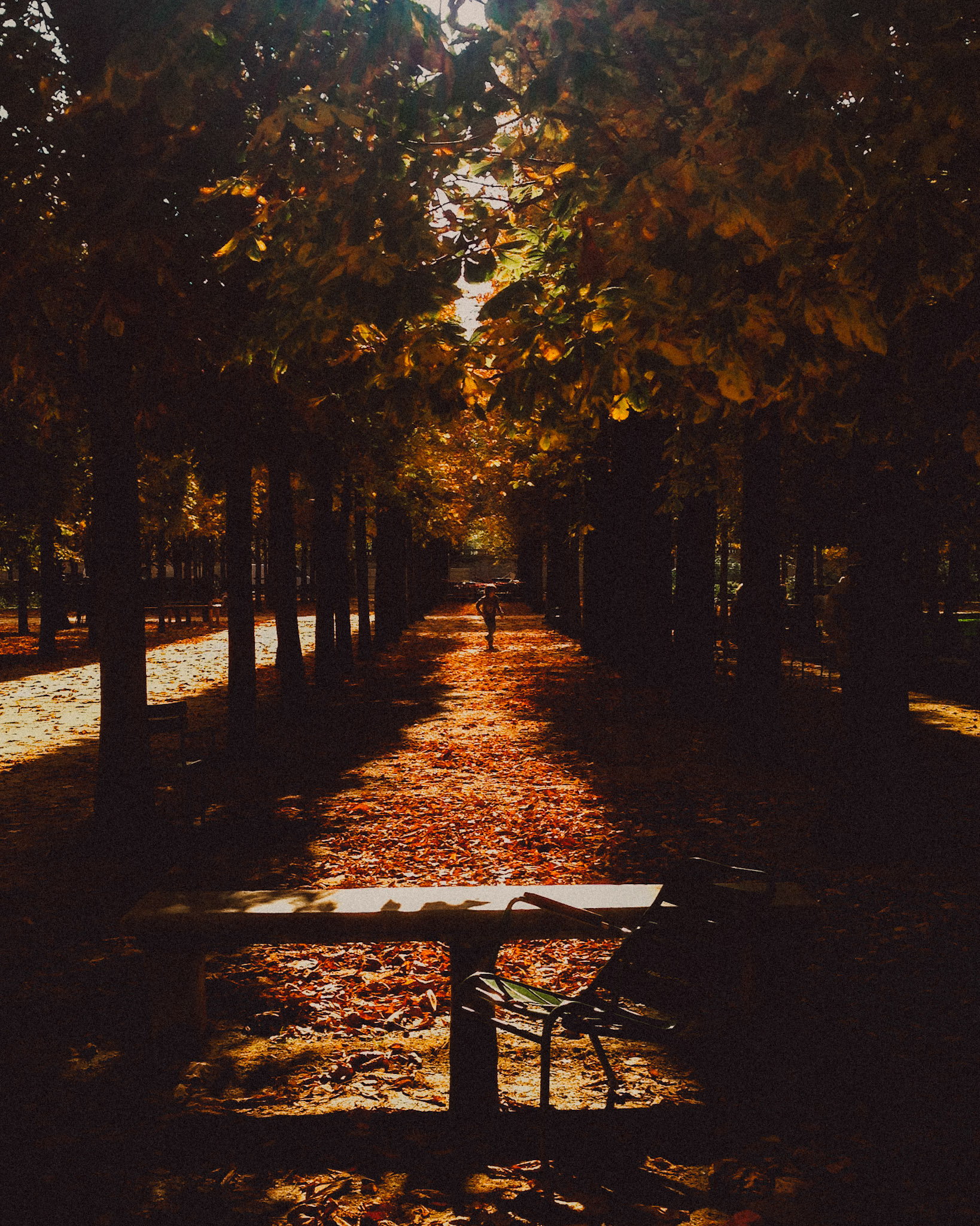 Tuileries Garden, Paris, France, October 2013, Apple iPhone 5.