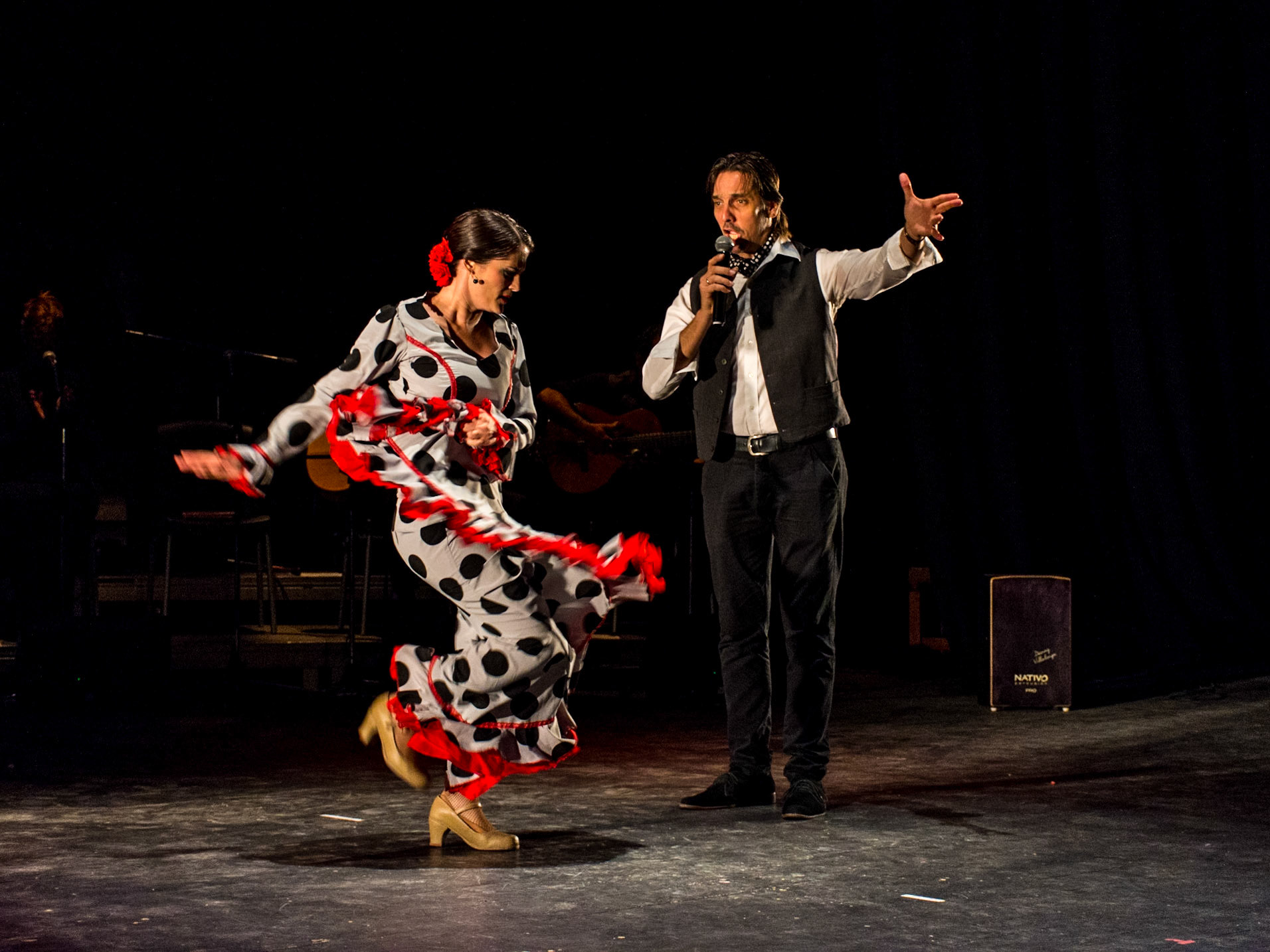 Ecos Flamenco Company (2017)