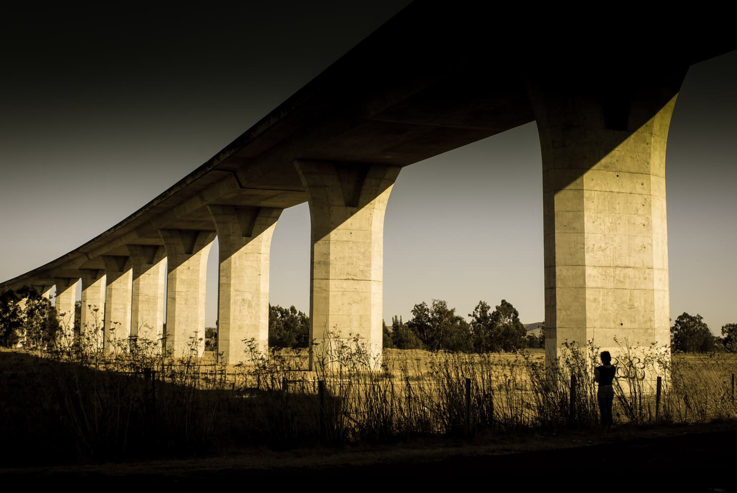 Southern Crossing Bridge Napa, California
