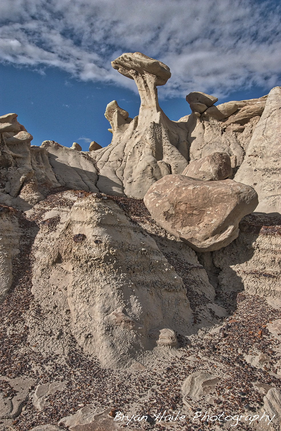 Bisti