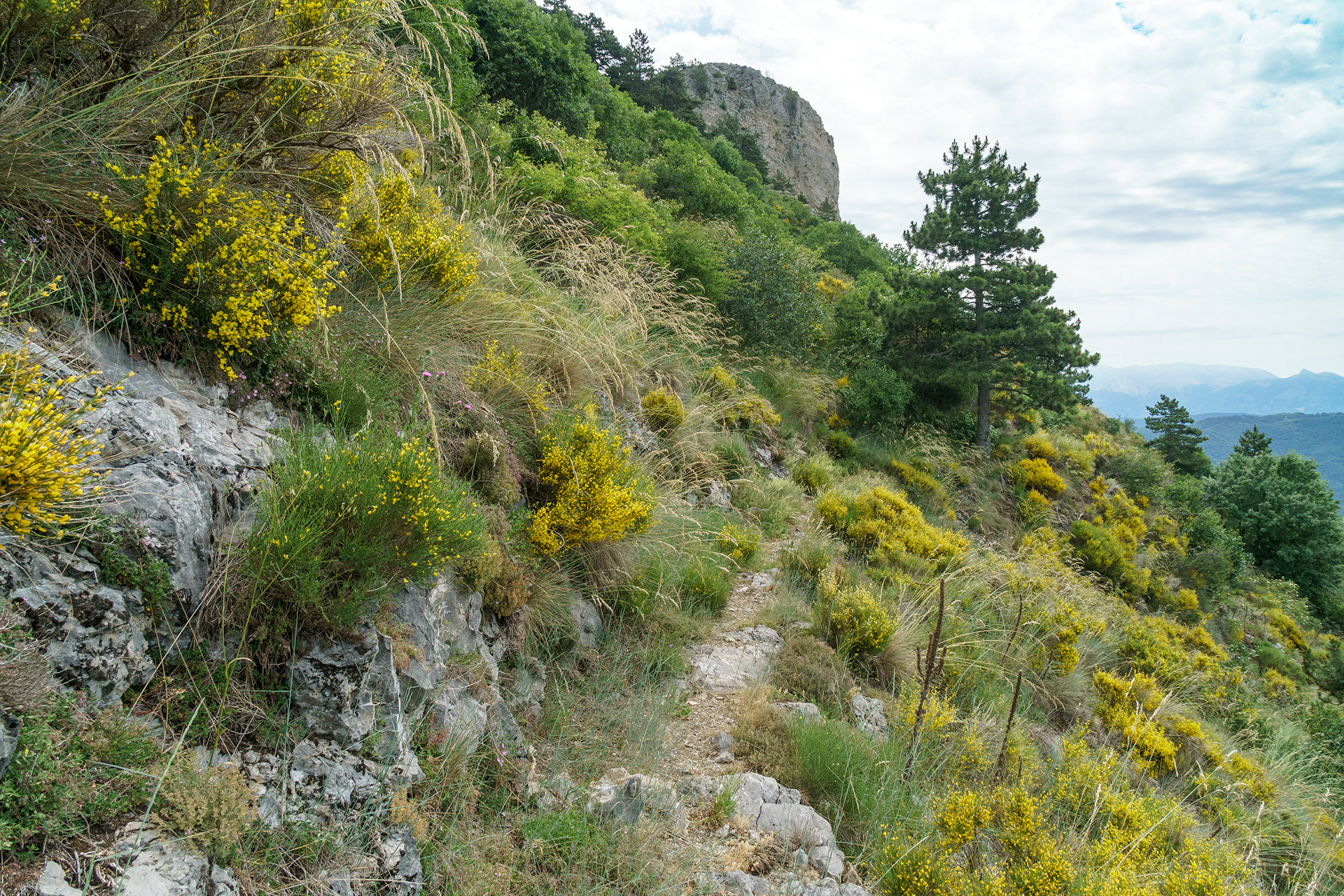 Sentier aérien vers la Grande Aiguille