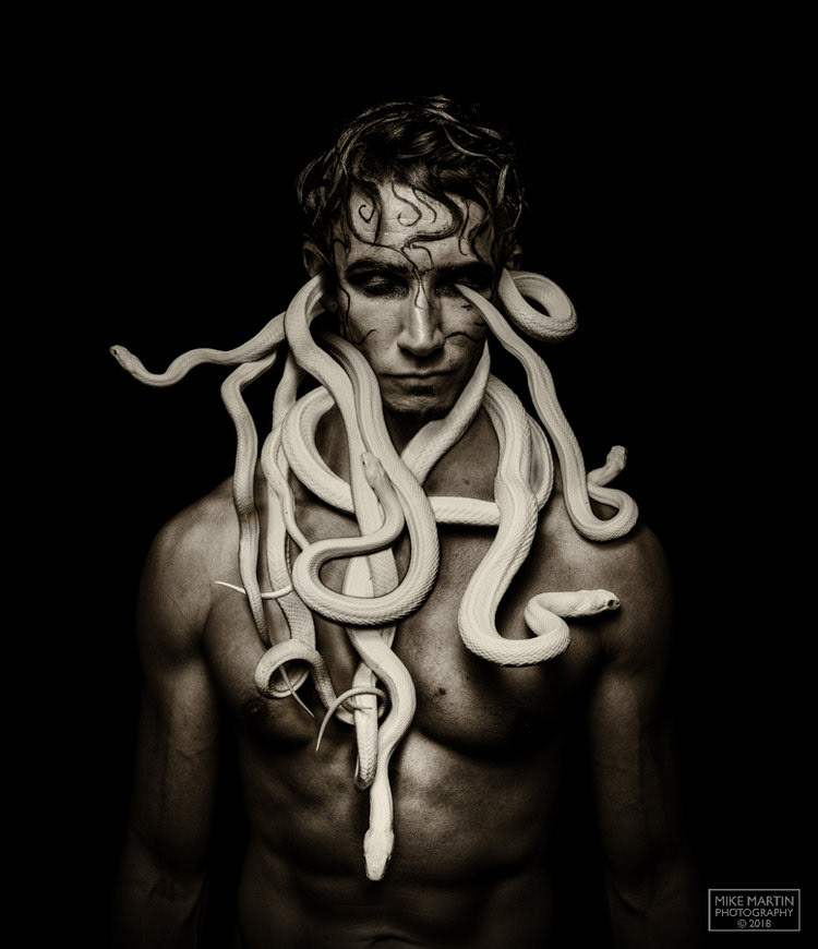 Snakes