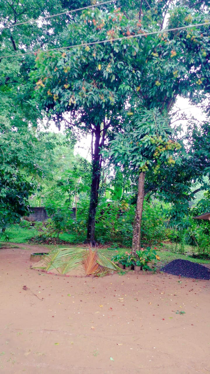 le jardin