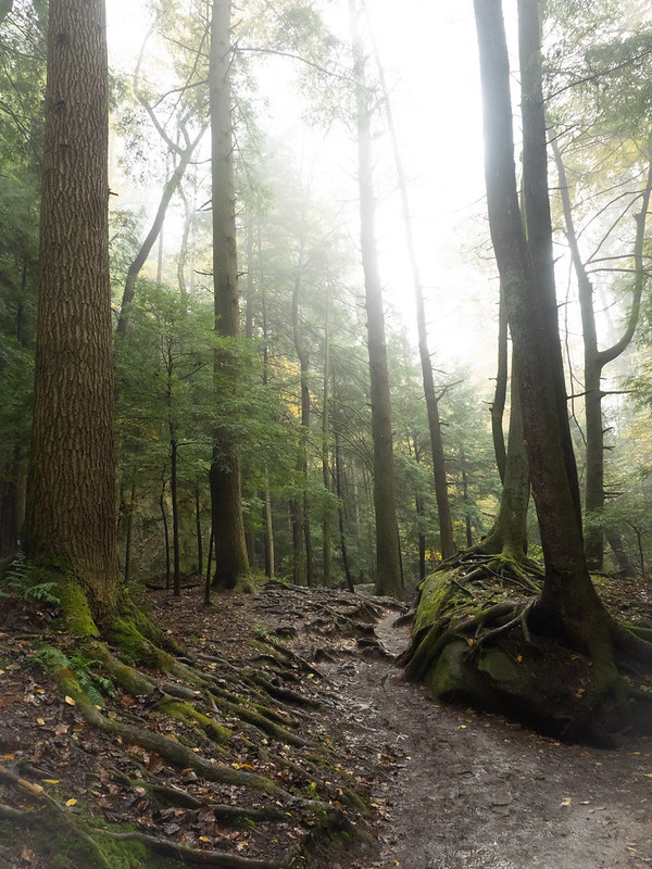 Hocking Hills State Park-Olympus OM-D EM-1
