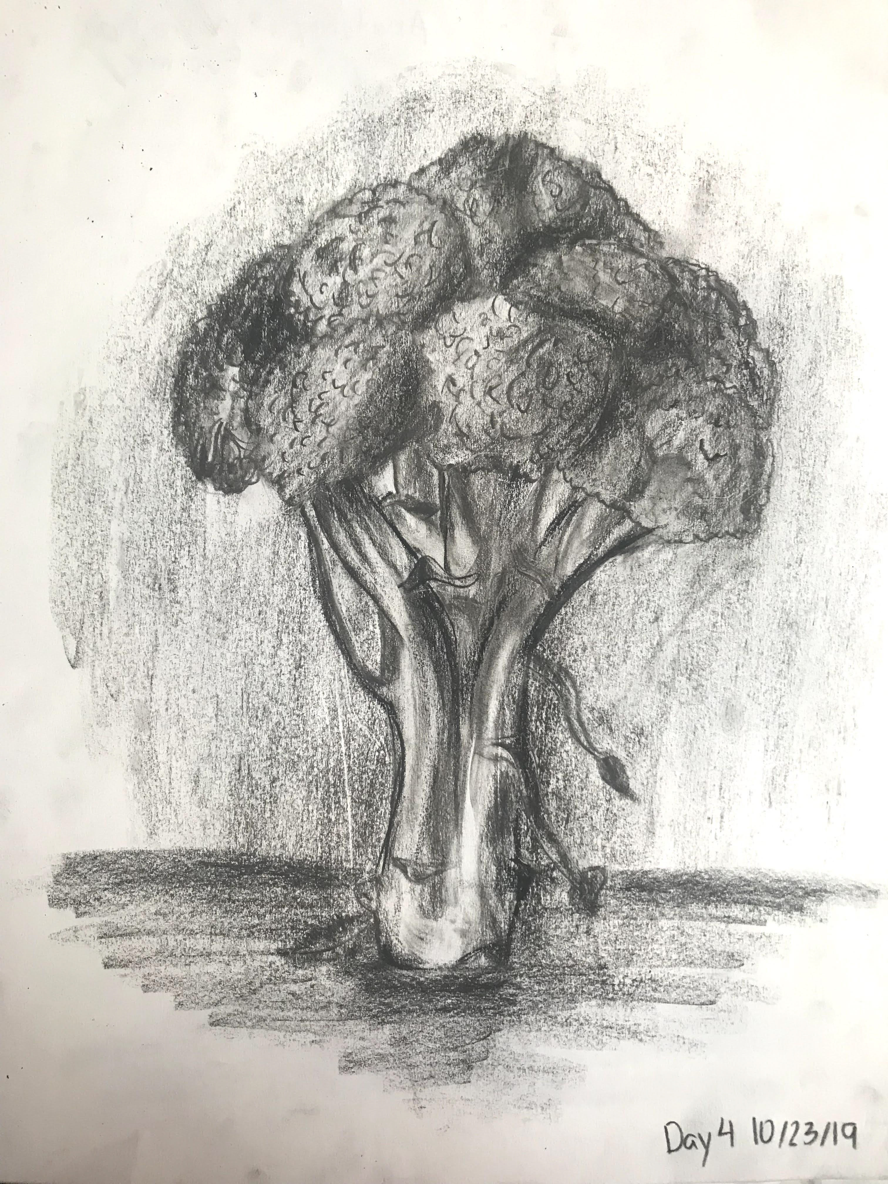 Still Life of Broccoli