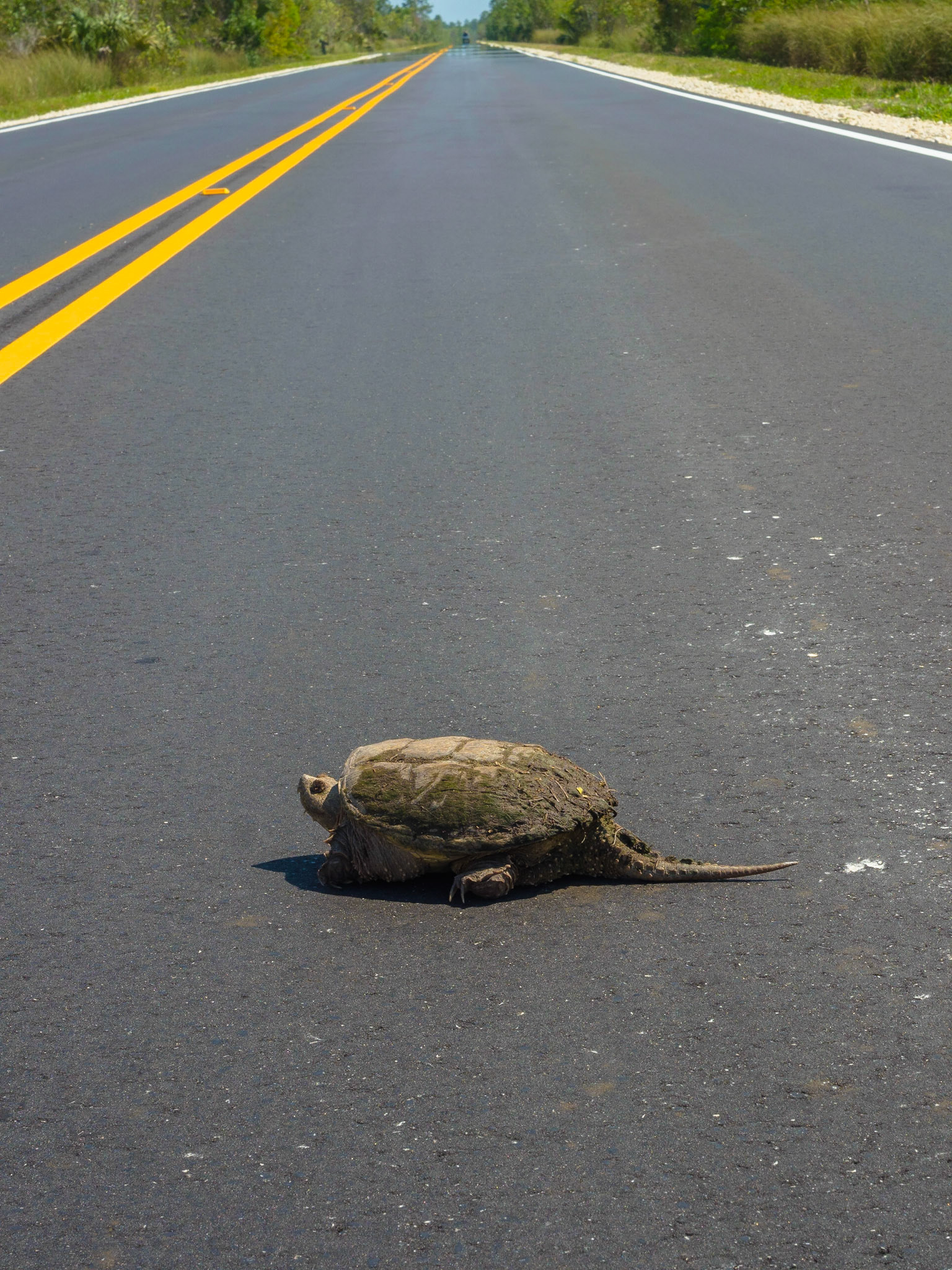 Everglades National Park
