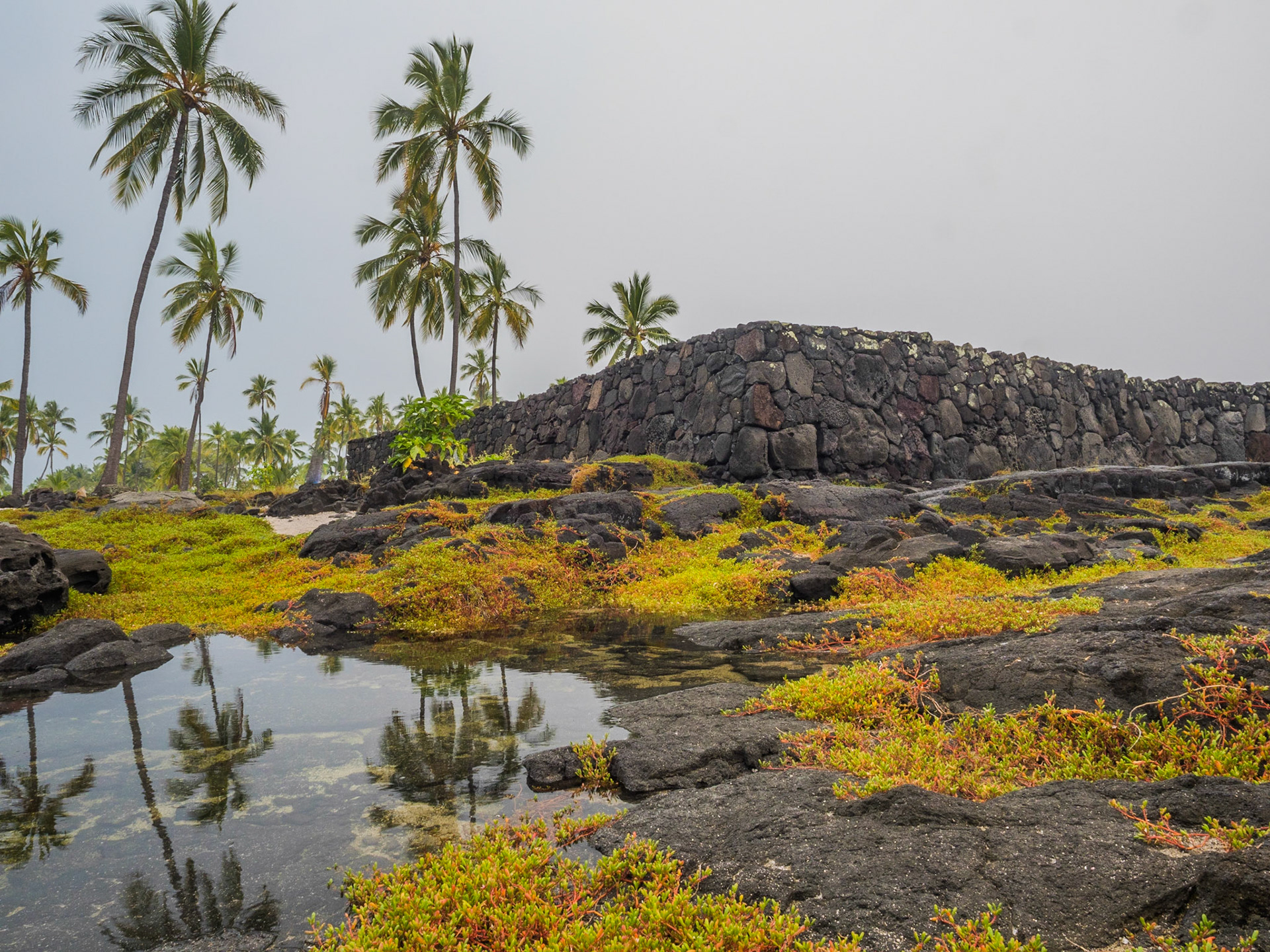 Pu'uhonua O Honaunau National Historical Park