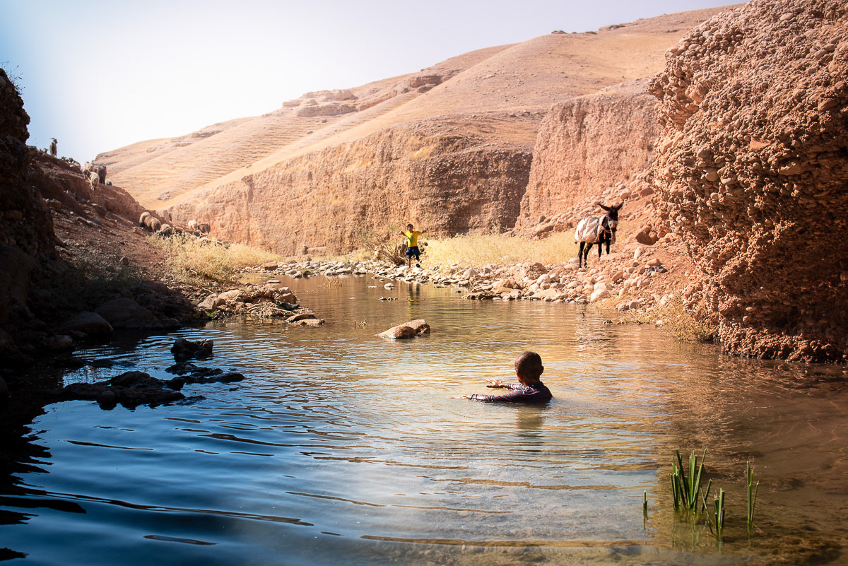 A peine arrivé, Mehdi se jette dans l'eau sous l'oeil envieux de l'âne. La tentation de la fraicheur est irrésistible.