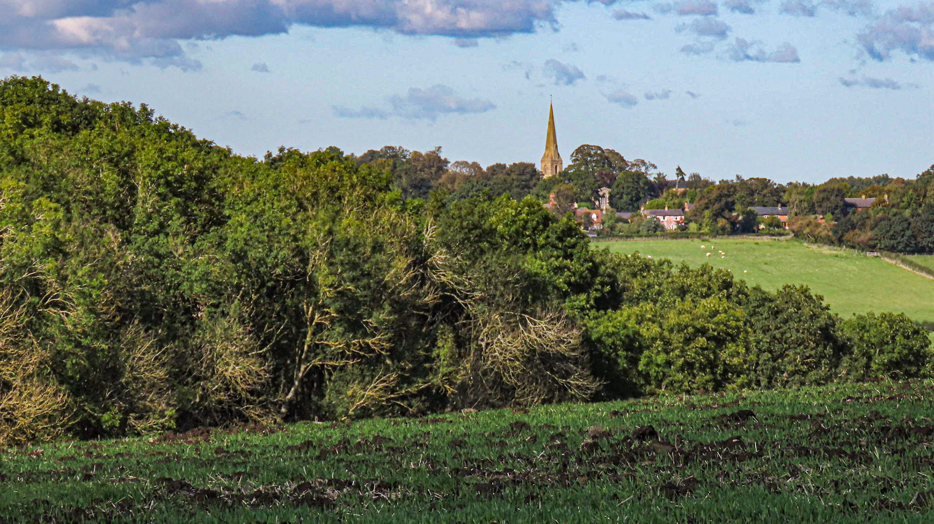 Stoke Wood, Northamptonshire