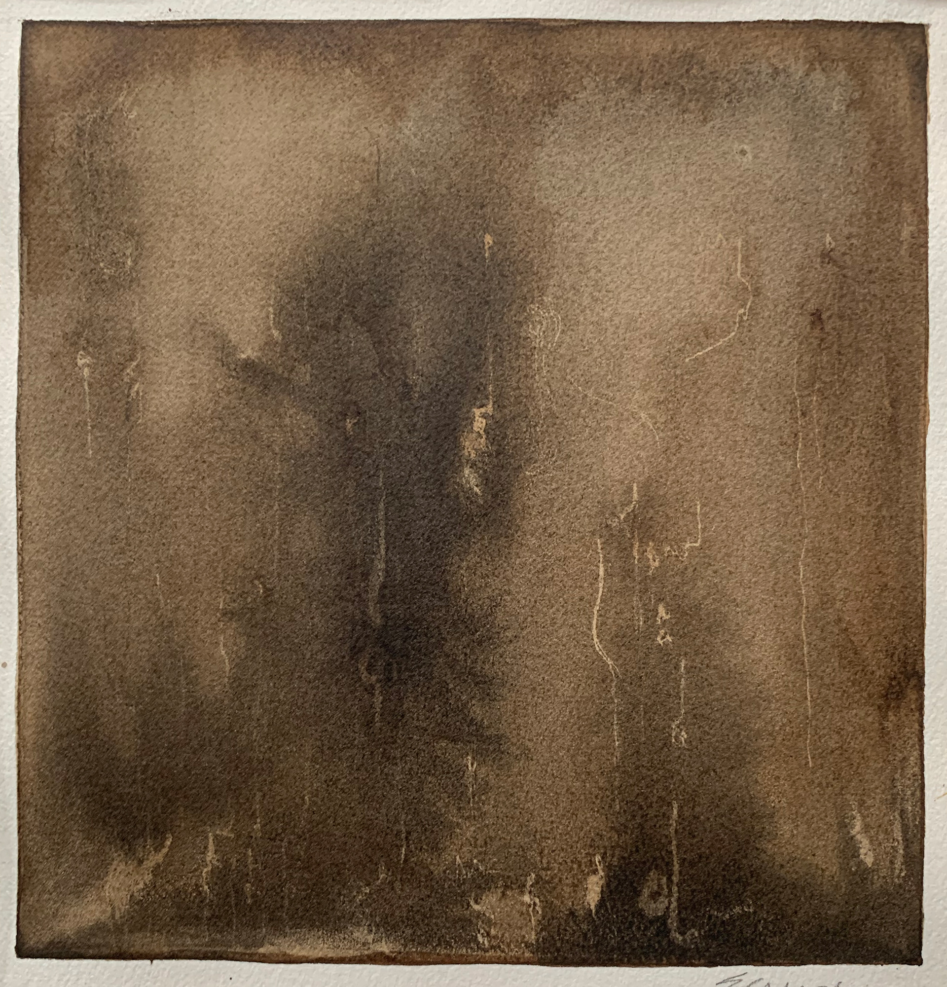 Walnut Ink Drawing 2. Walnut Ink  on Arches watercolor paper. 10" x 10"