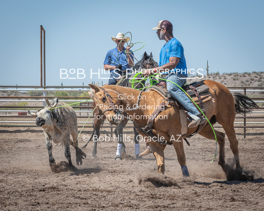DiaB - 0417 - 85