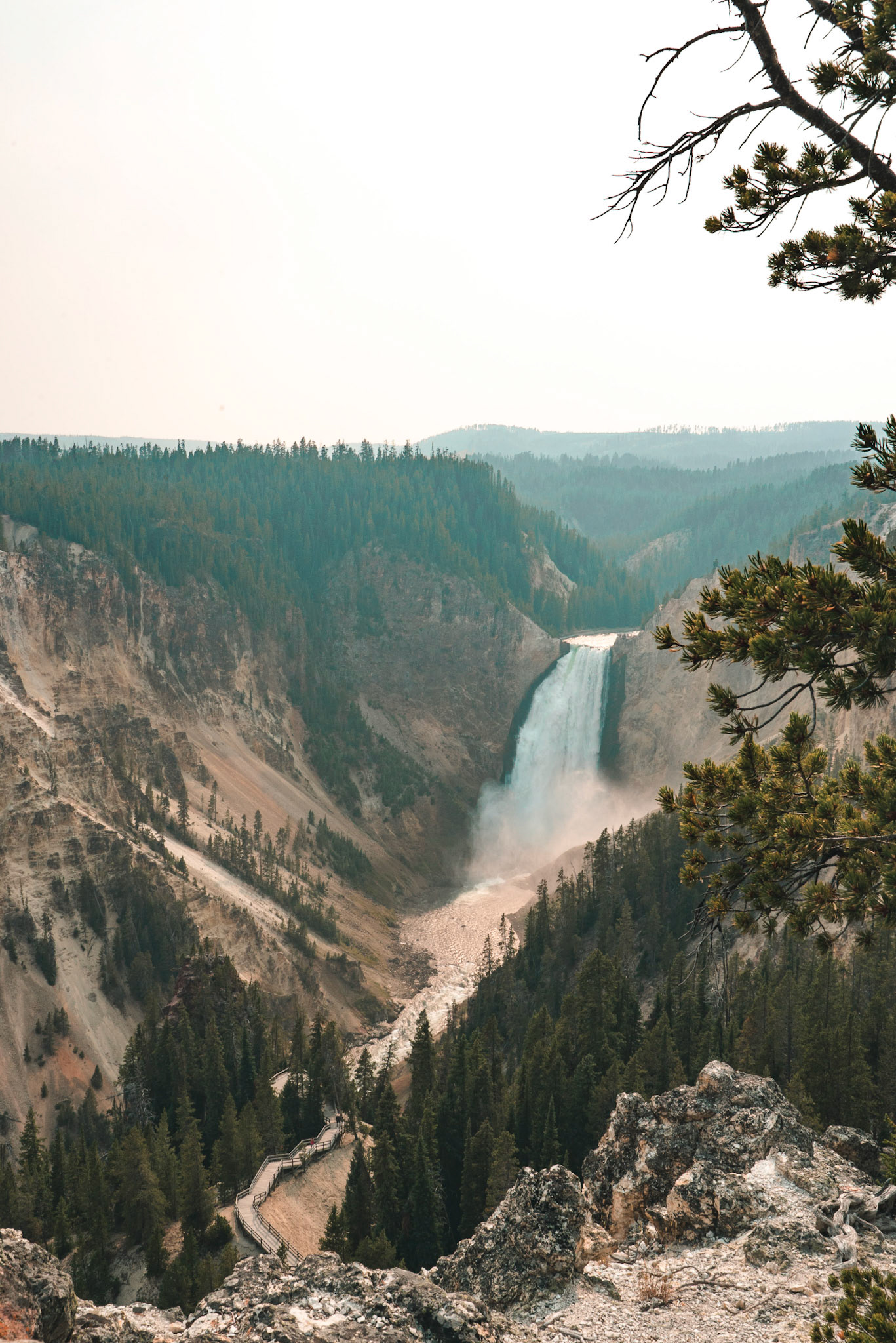 Yellowstone NP