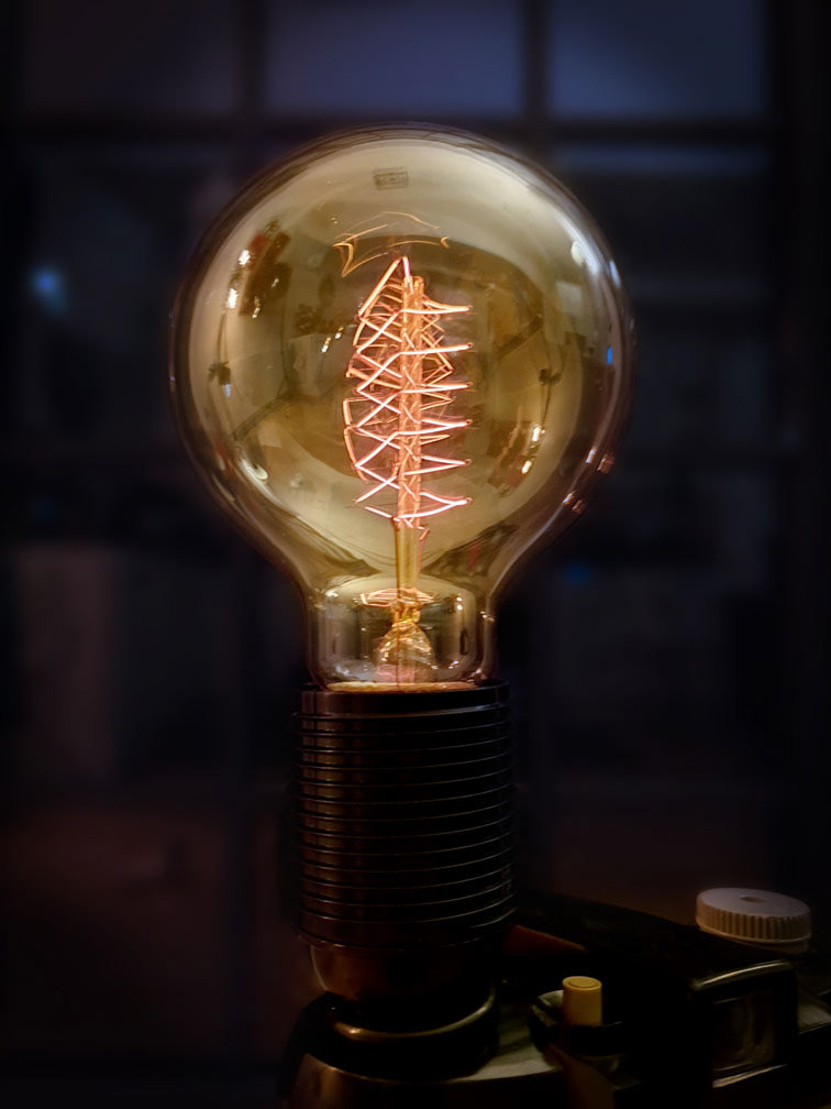 Vintage Edison globe bulb