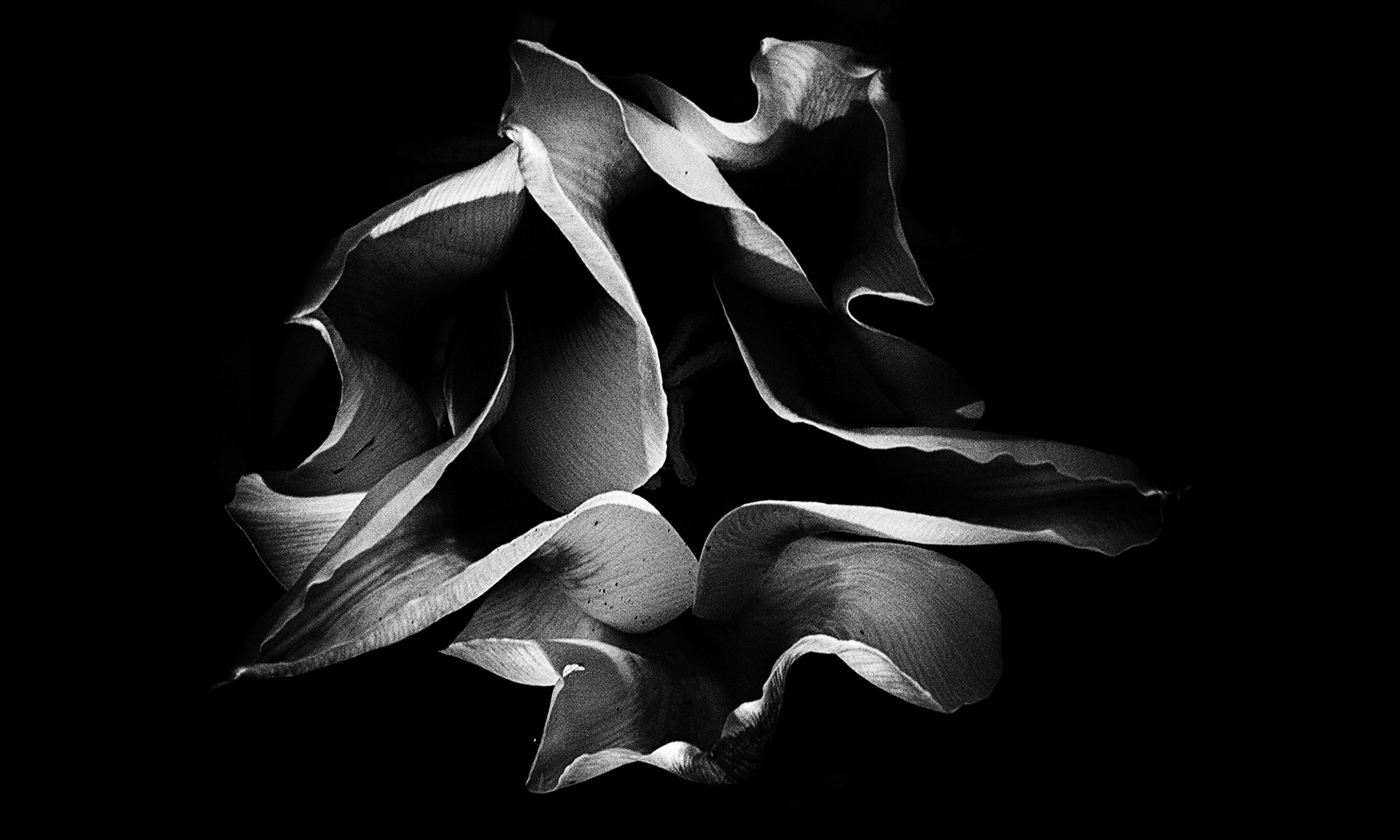 'GEOMETRIE GUERRIERE' - 2019, fotografia digitale su Carta Decor Smooth art (210 gr) Alphacellulosa, 60 x 40 cm