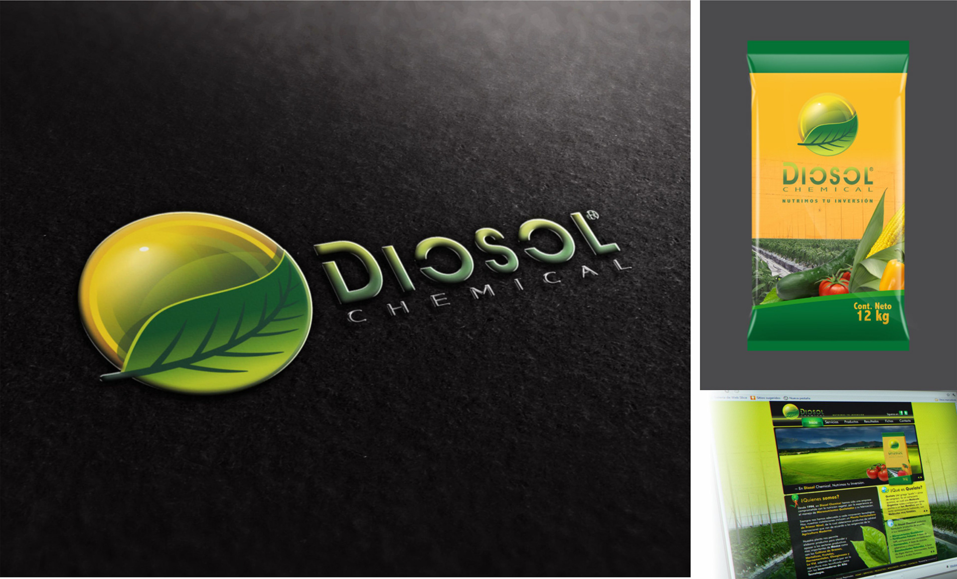 Diosol Chemical / 2011