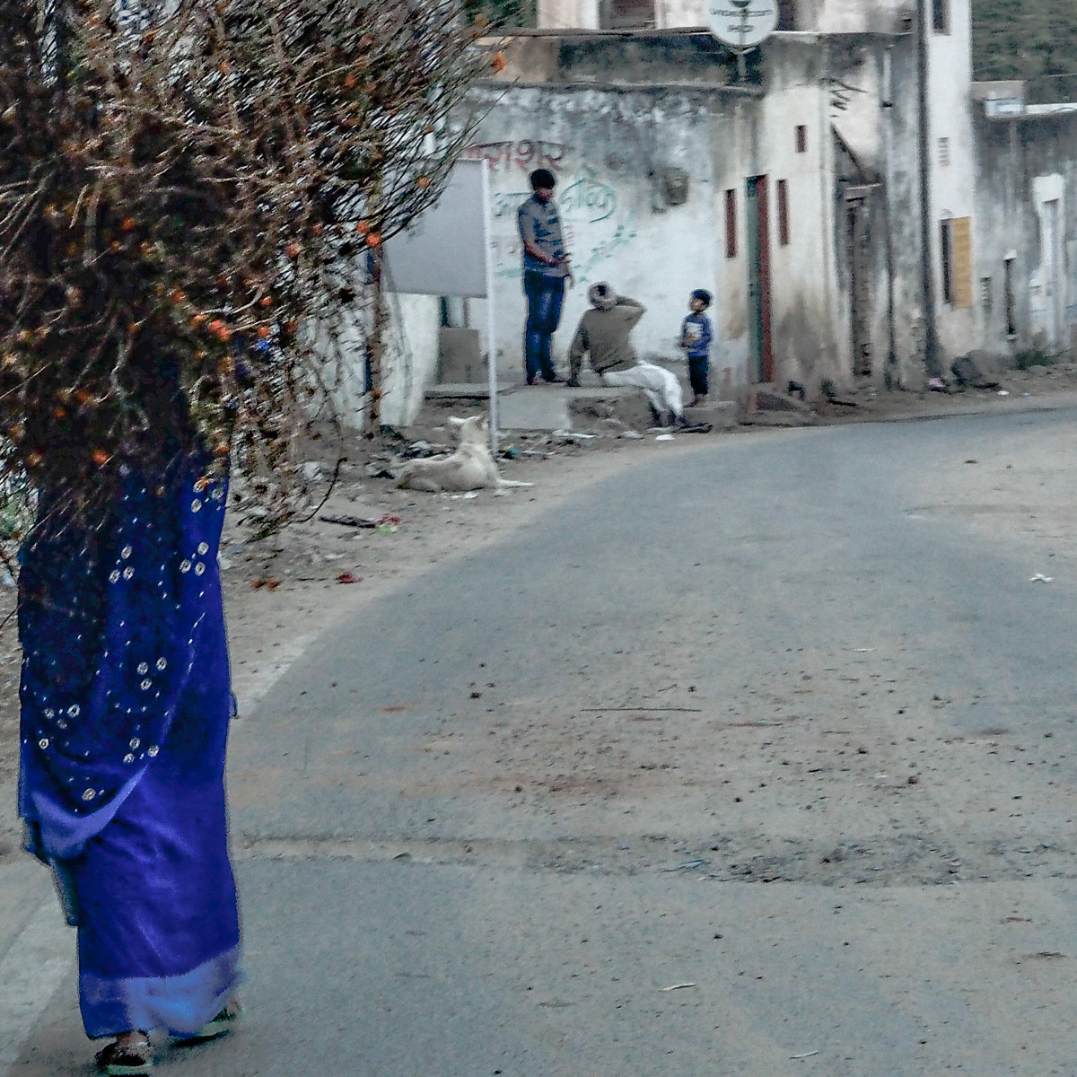 Rajasthan, Pushkar