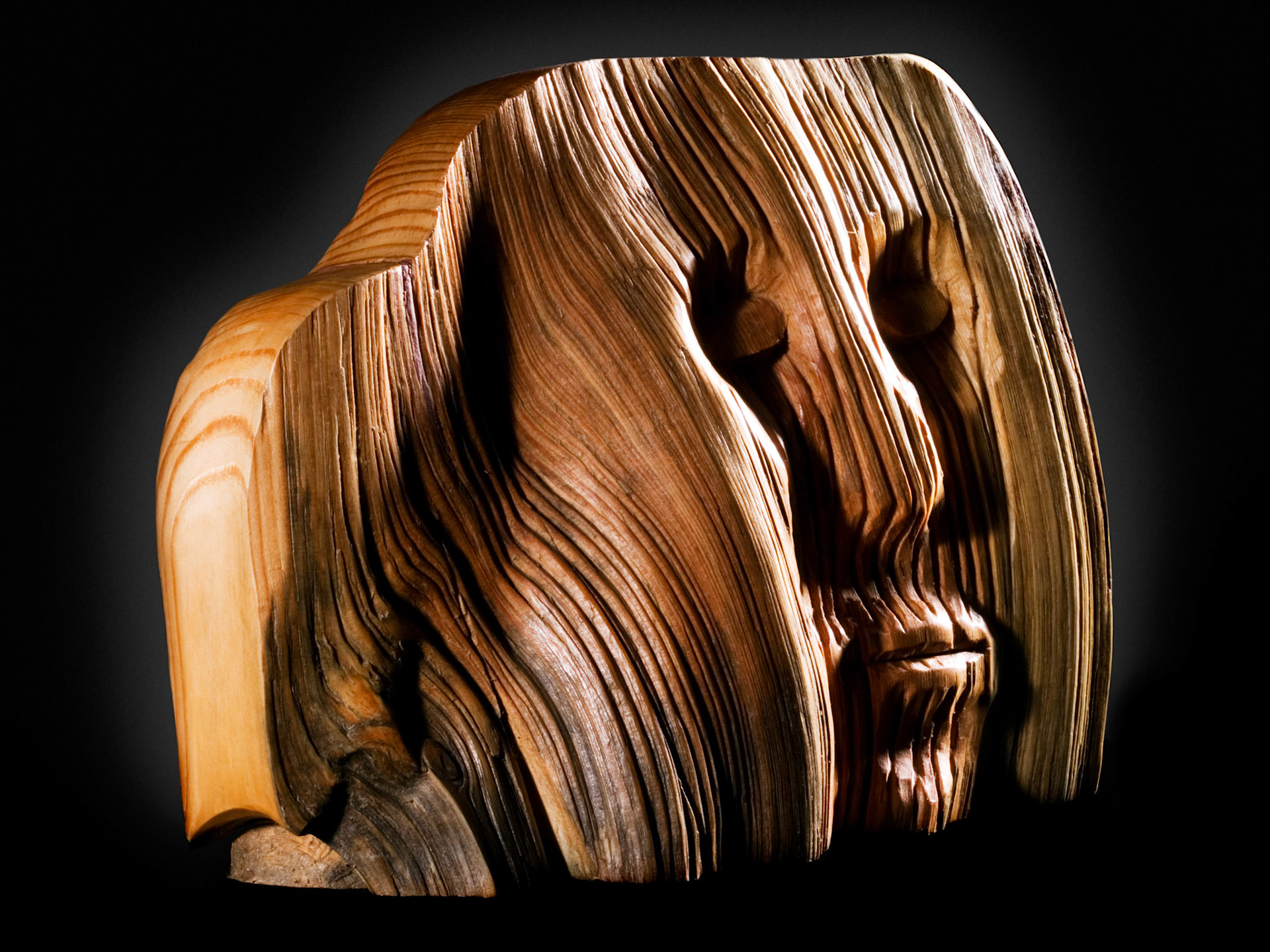Face - Pine