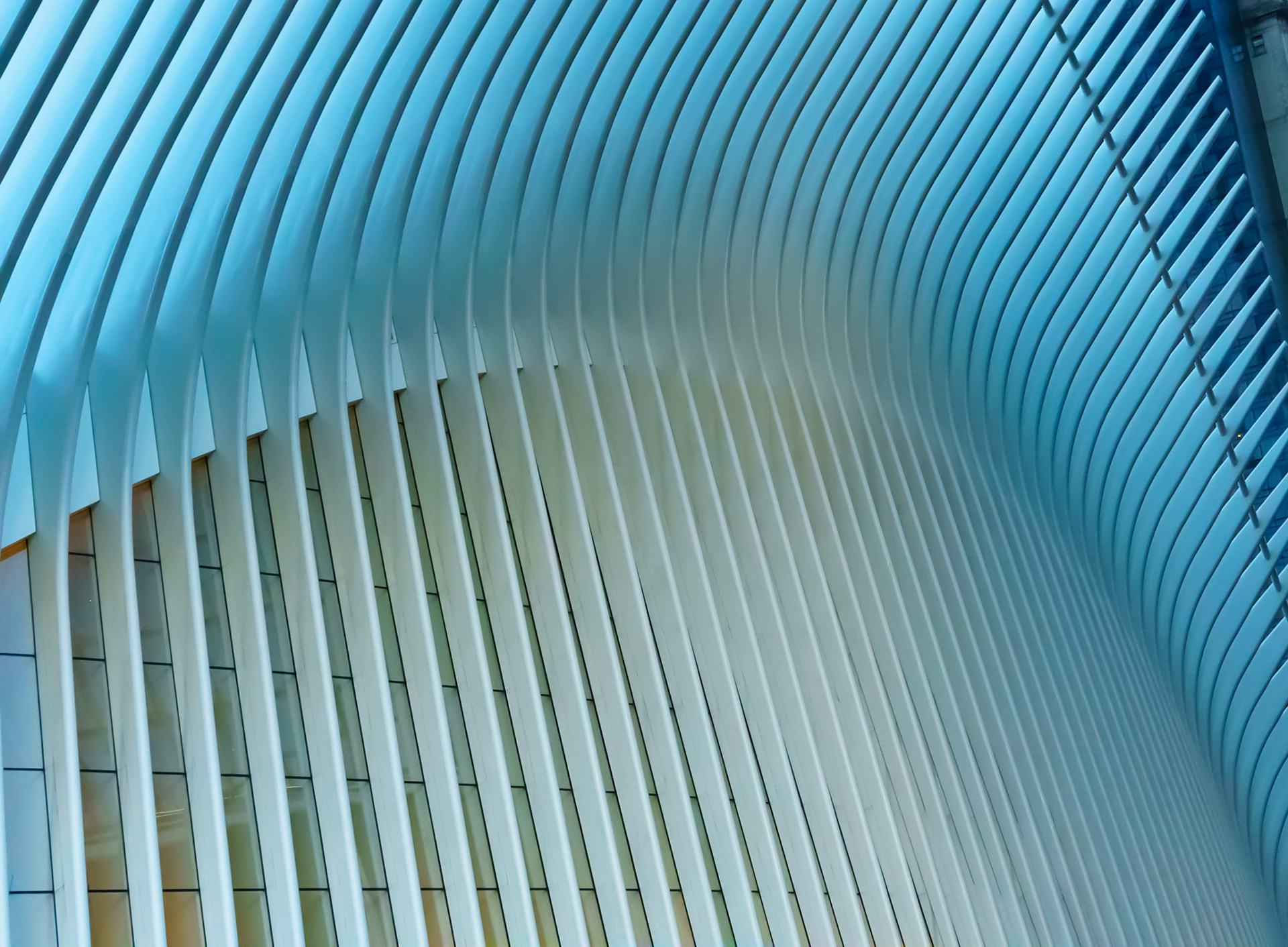 Oculus