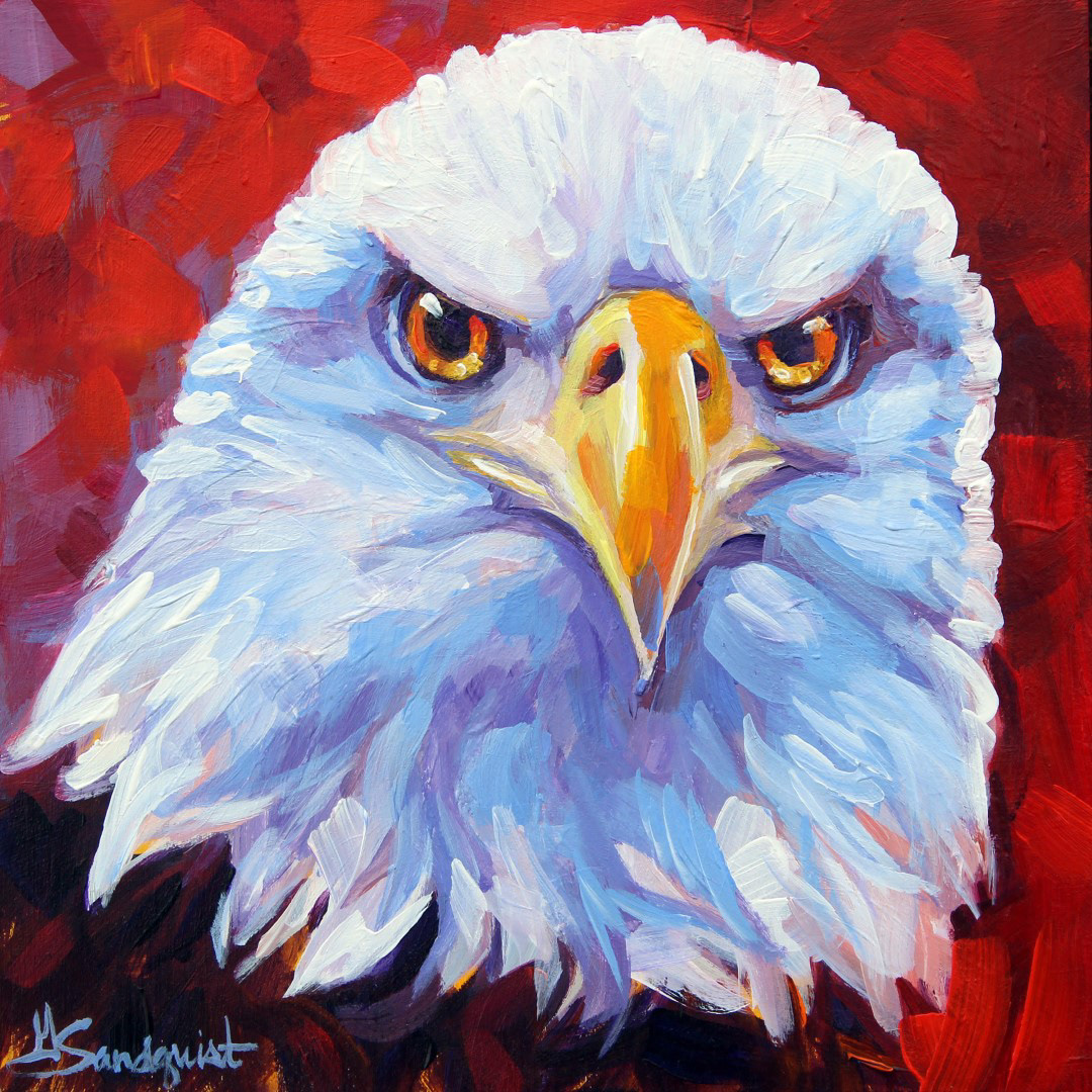 eagle animal portrait print gretasandquist gretasandquist.com paintings saintpaul studio twincities acrylic art artist bright color fineart gallery impressionist impressionistic minneapolis painter sandquist stpaul greta minnesota prints gingerstreetstudio gingerstreetstudio.com facebook.com/GretaSandquist