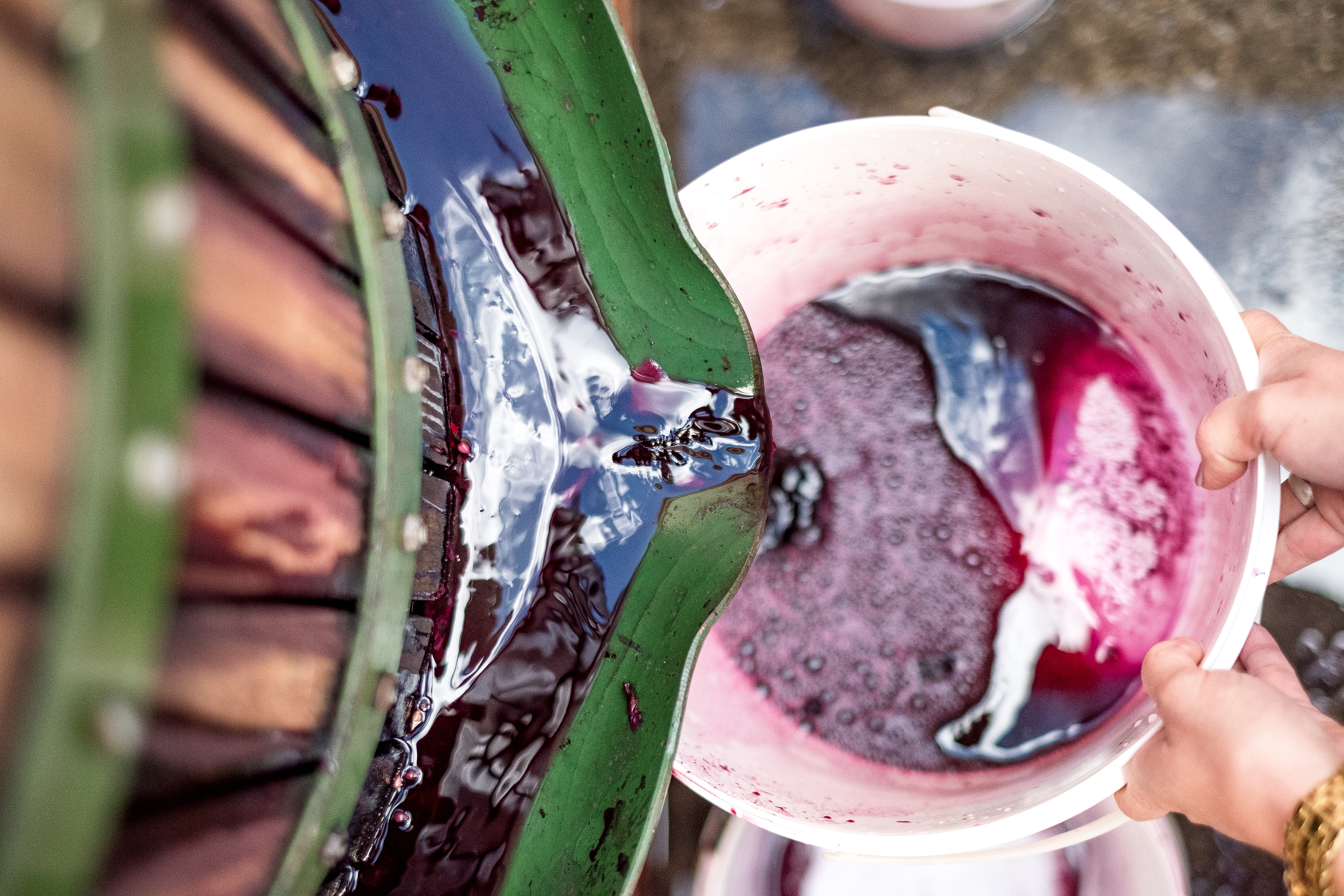 Shiraz from the Basket Press