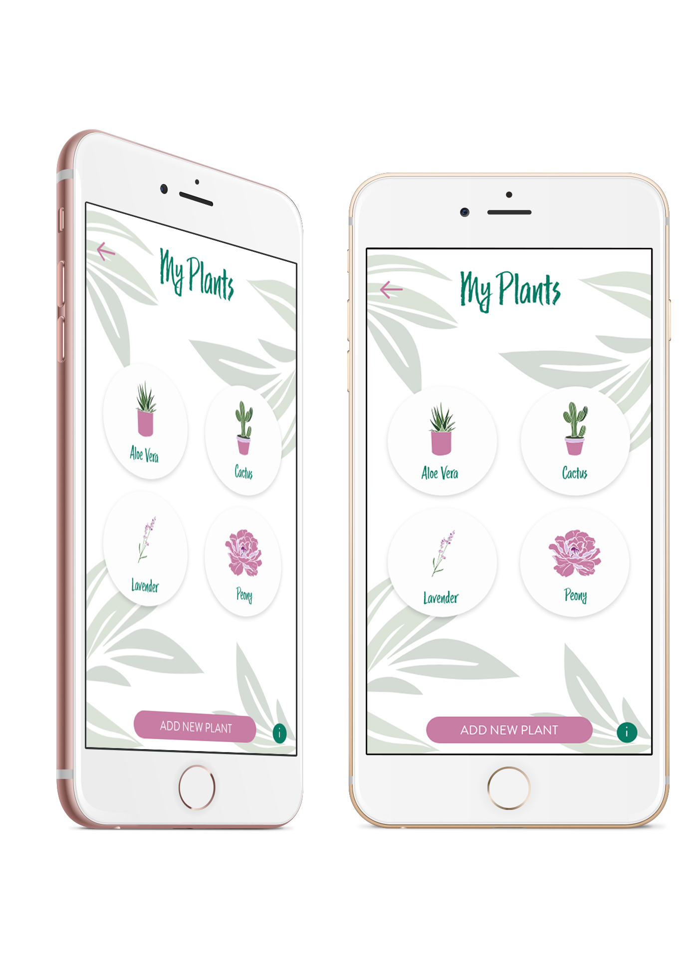 UI/UX Design & Illustration, 2018