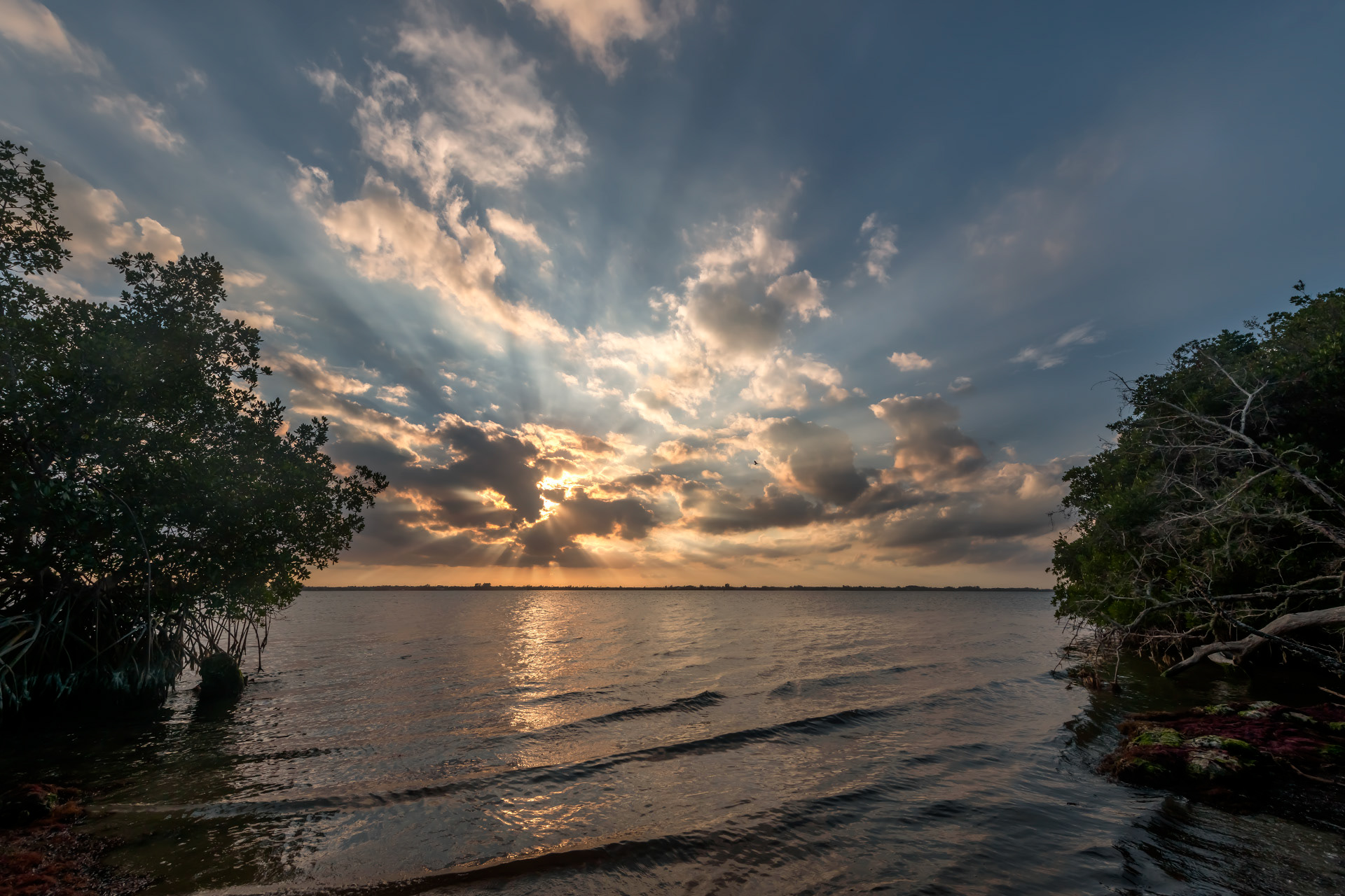 Sunbeams