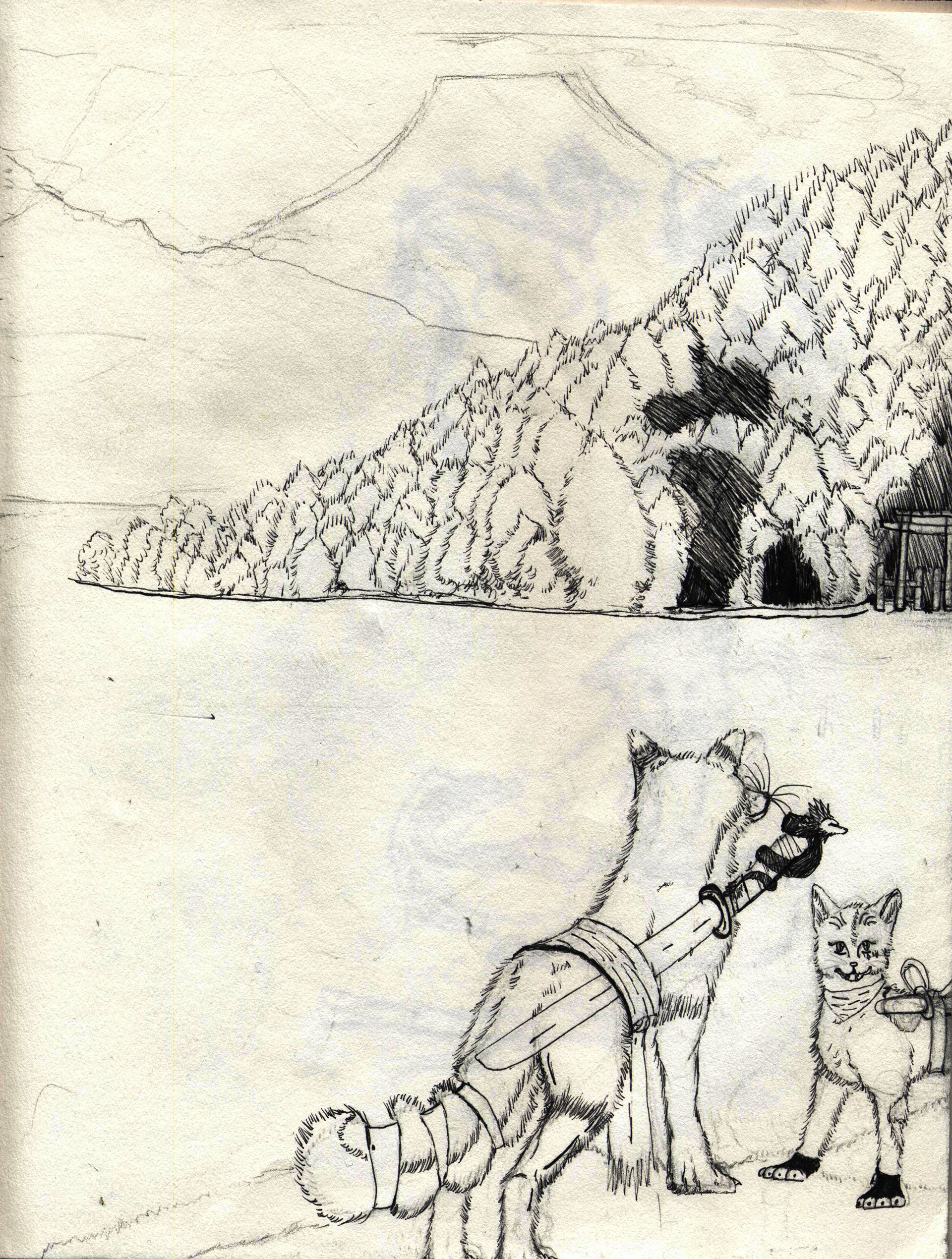 Shintaro and Ishi, Mt Fuji