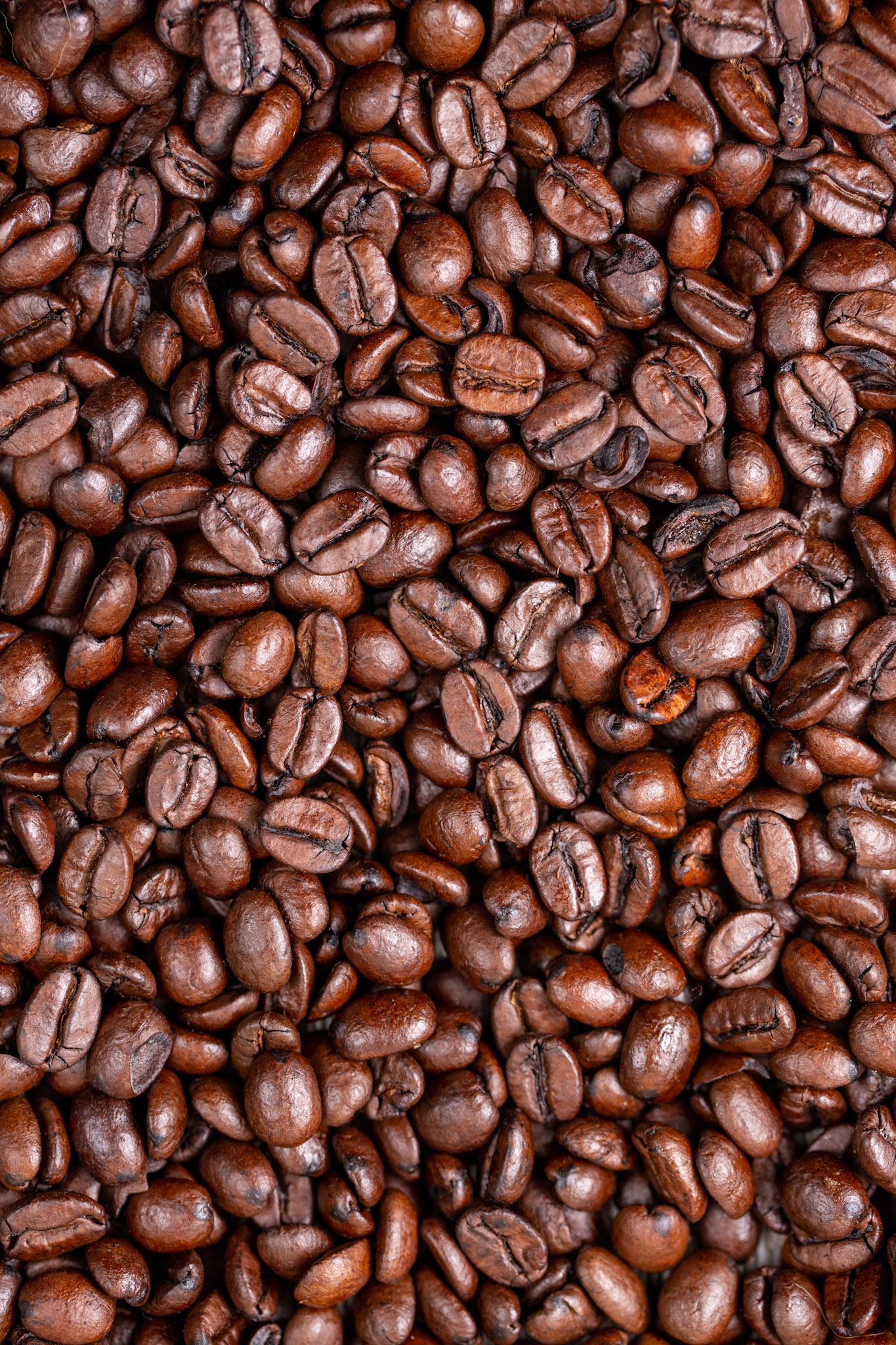 Coffee Beans A'Plenty