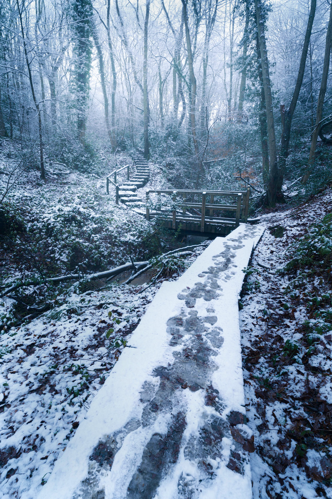 Benthall Edge