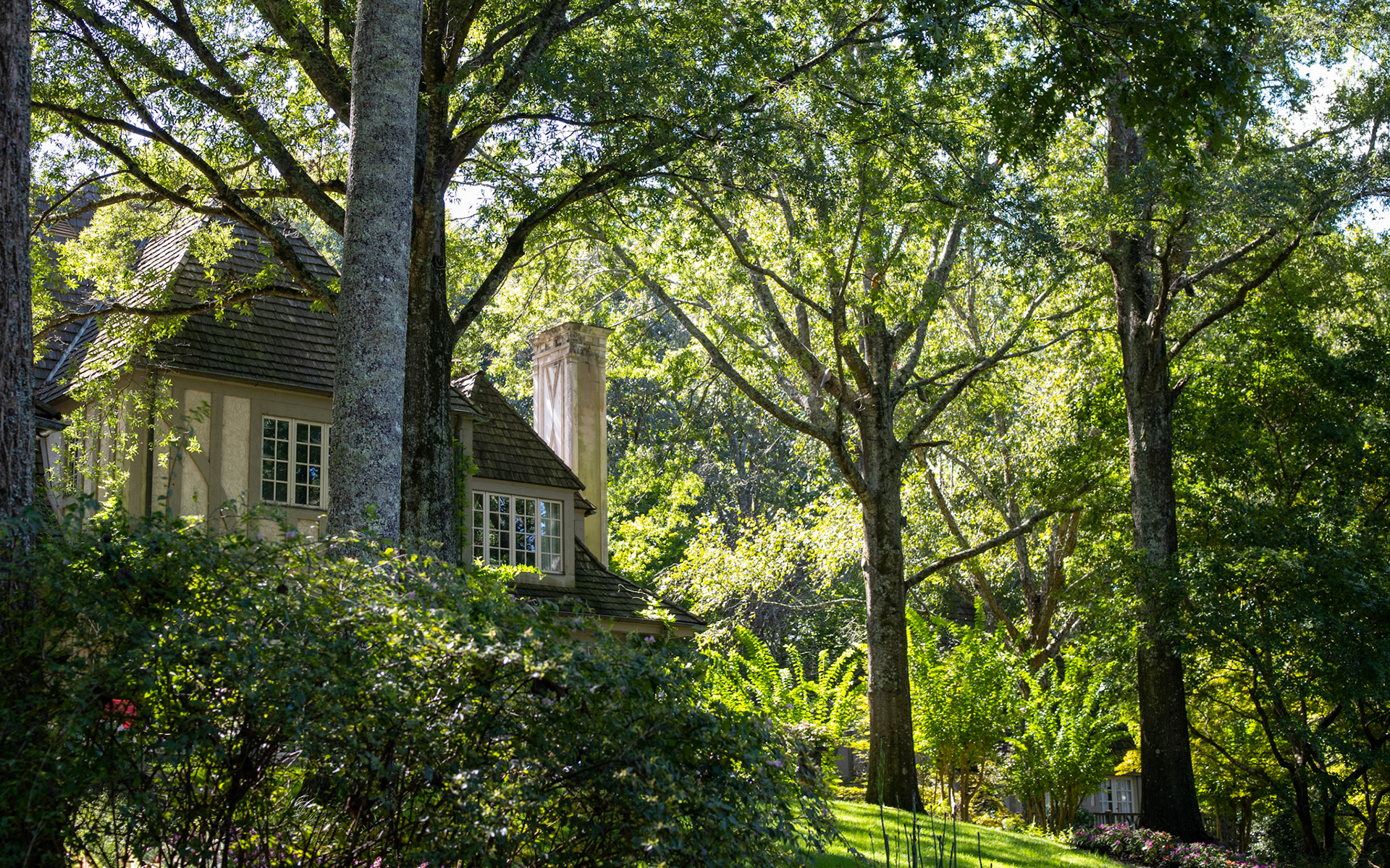 Manor Trees
