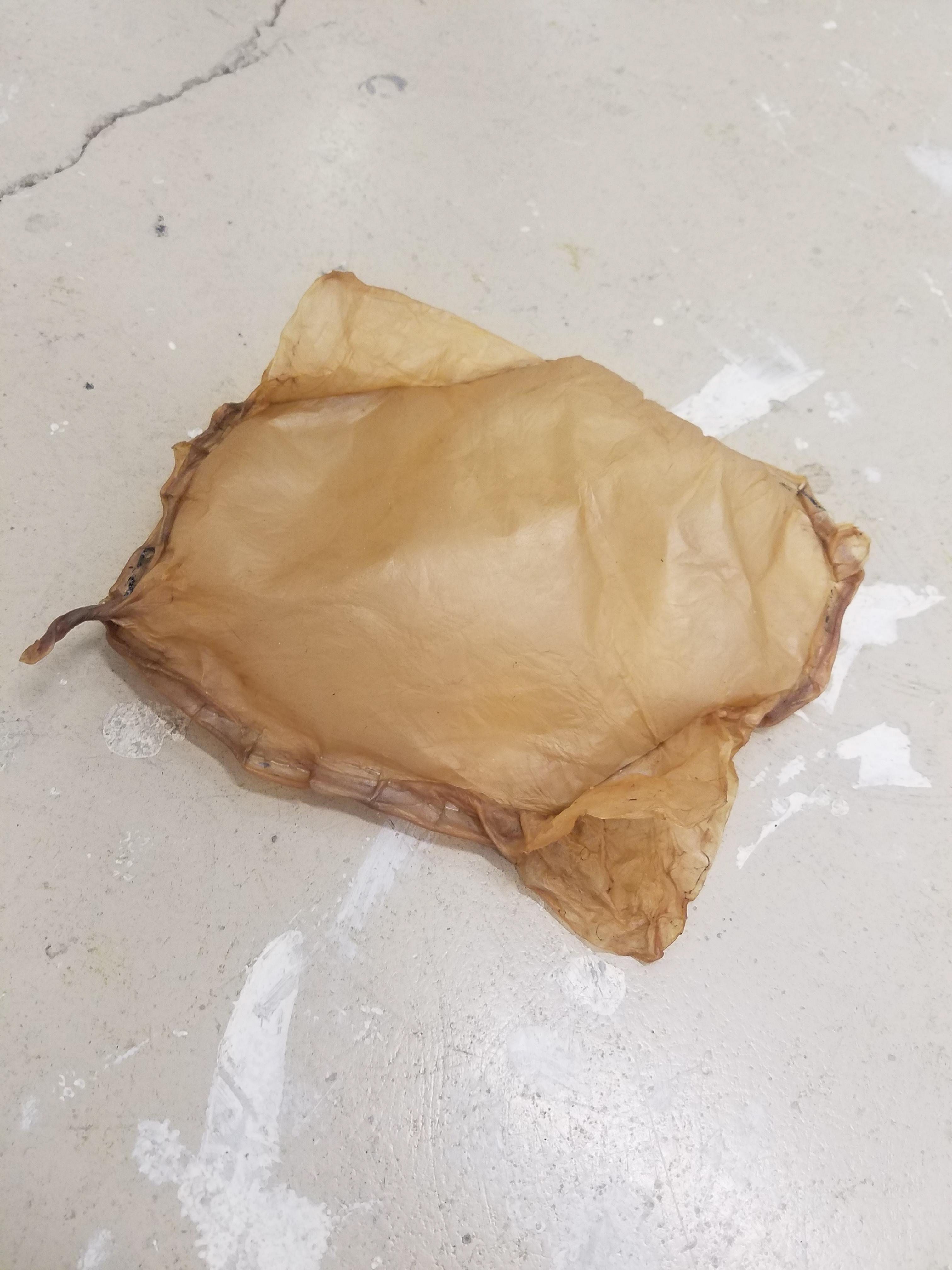 Inflated and dried.