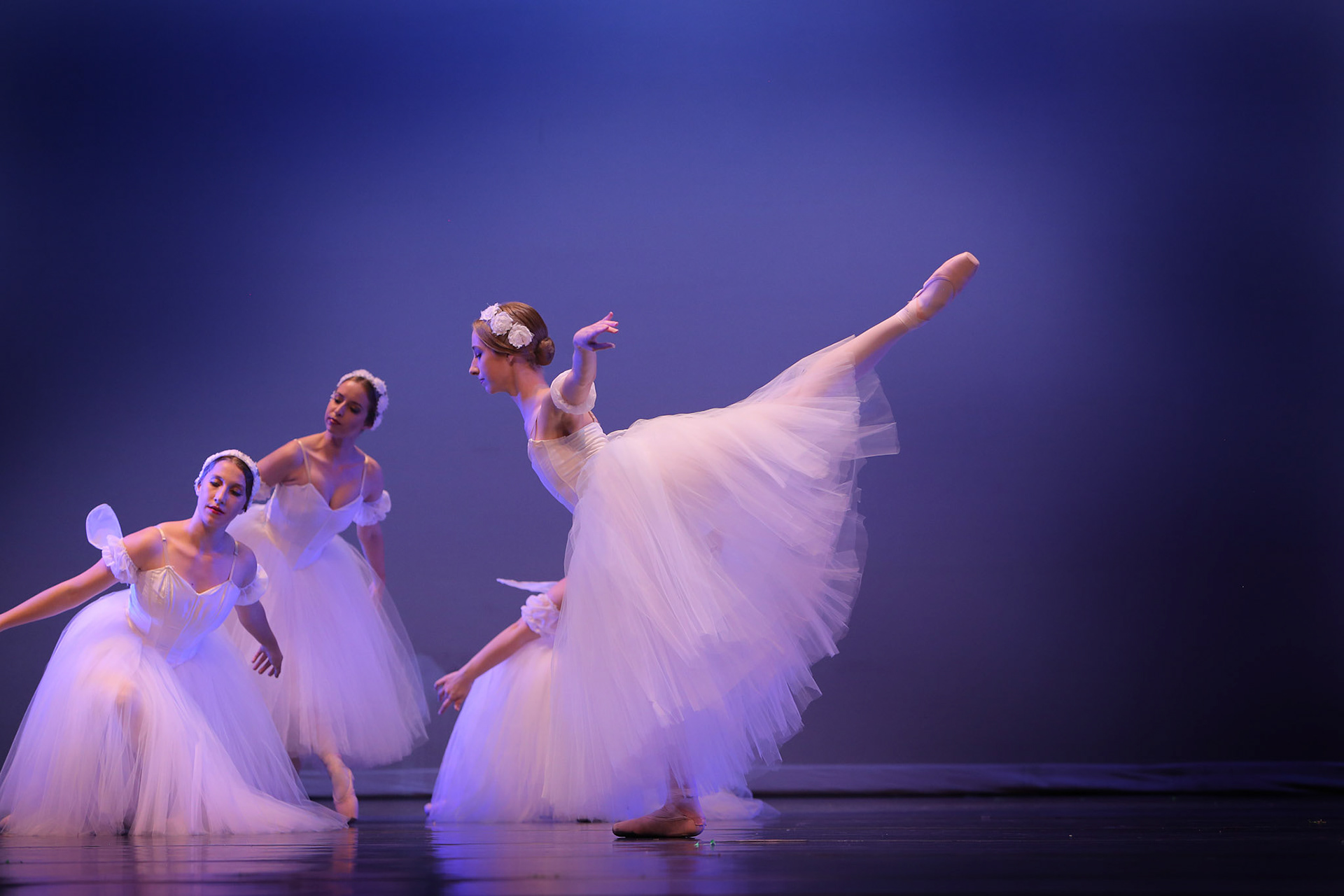 Les Sylphides