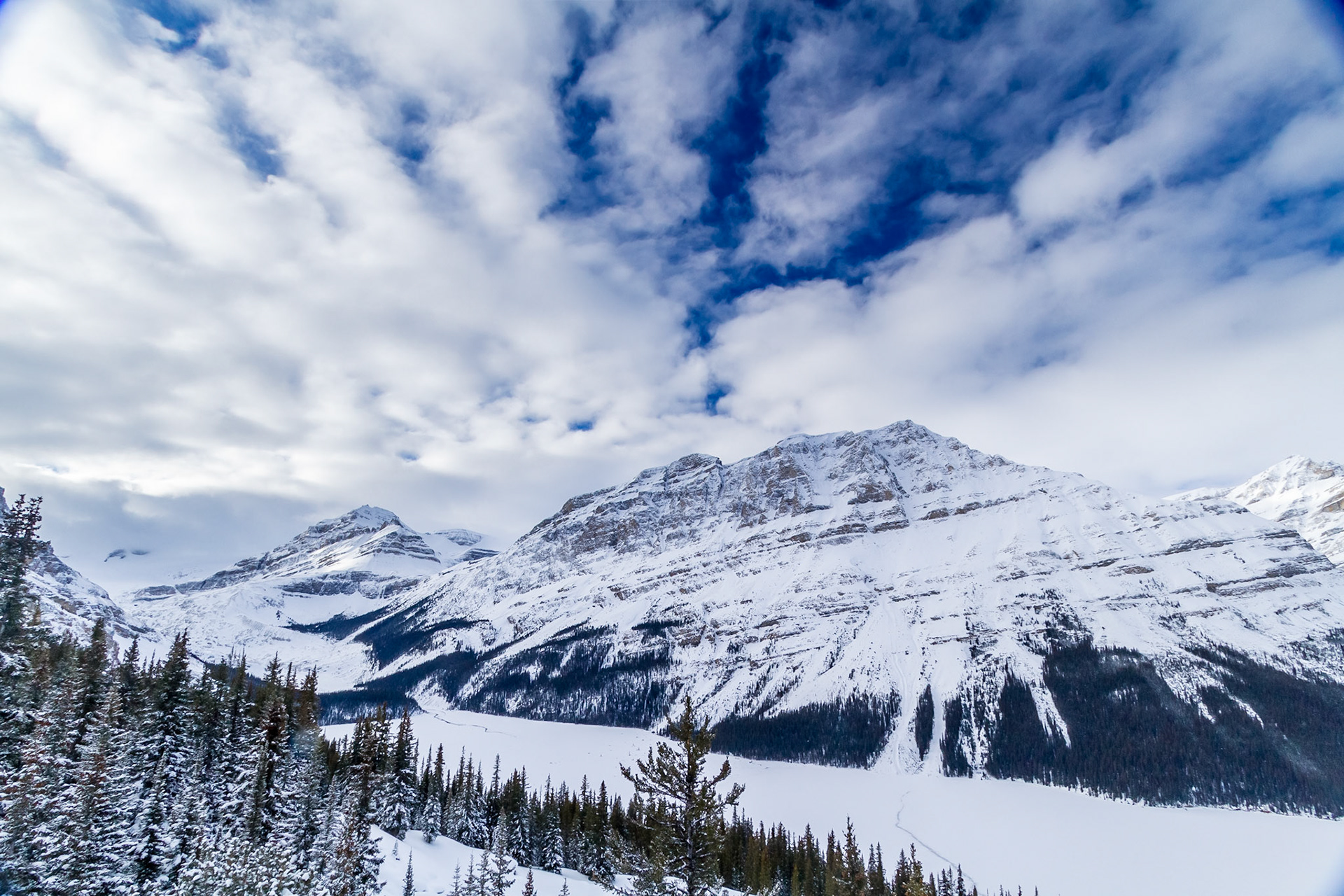 Peyto Peak, Caldron Peak & Peyto Lake-Banff National Park
