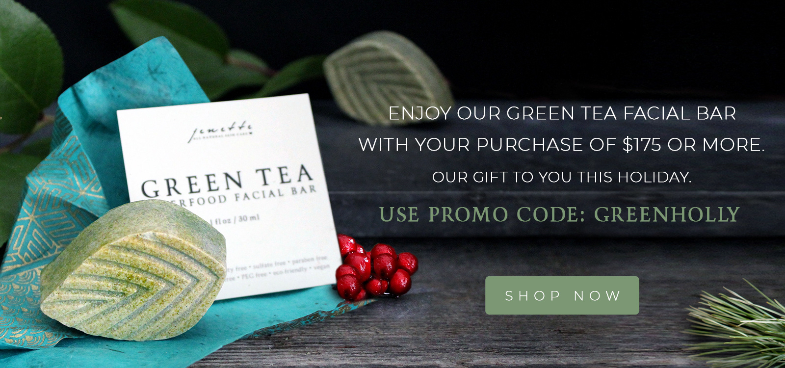 Website home banner 1