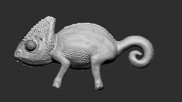 Chameleon