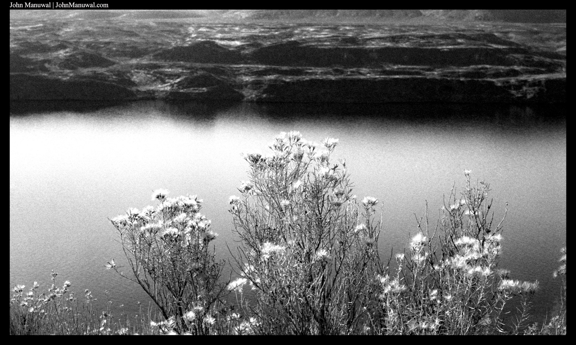 2021 35mm Film Photograph