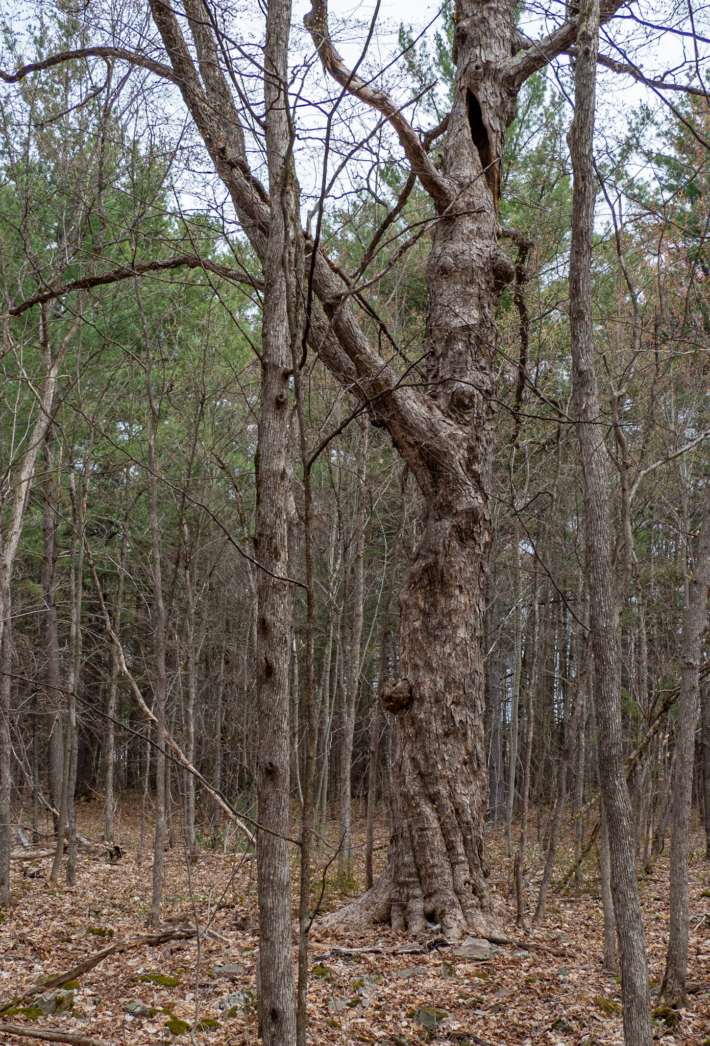 reaching out