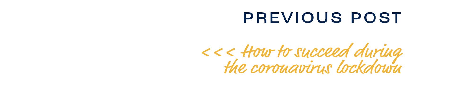 Lindsey Ahmet graphic designer how to succeed during the coronavirus lockdown previous post navigation