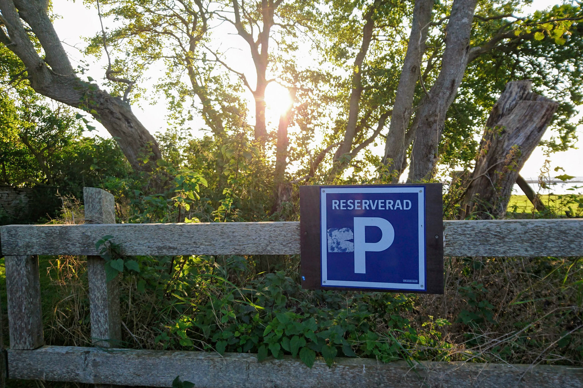 ISO 40 | 4.23 mm | f/2 | 1/250 s