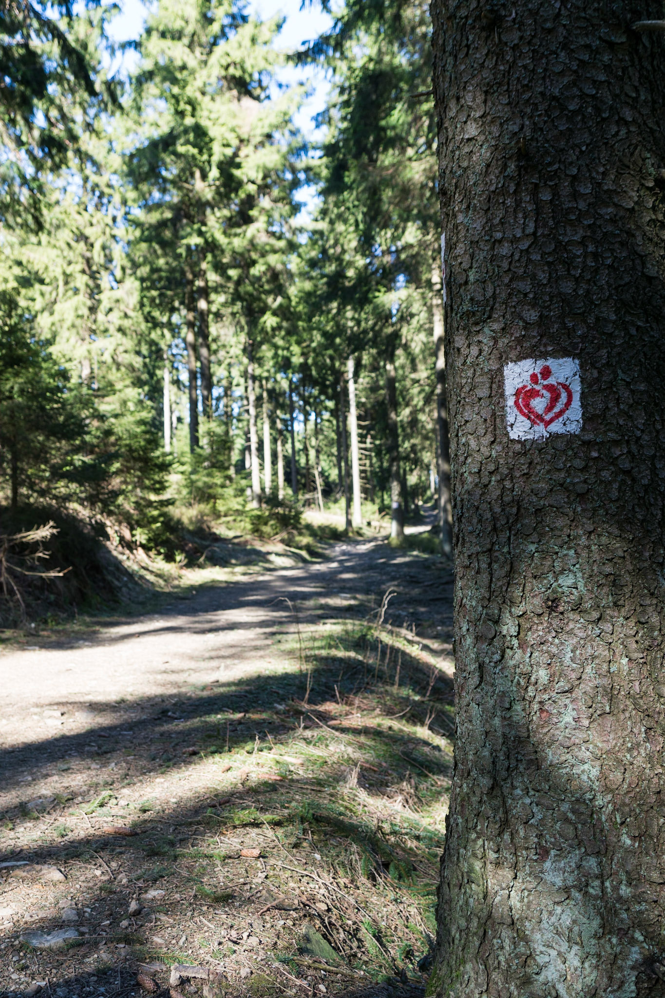 Sony ILCA-77M2 | DT 16-50mm F2.8 SSM @ ISO 100 | 24 mm | f/3.2 | 1/100 s