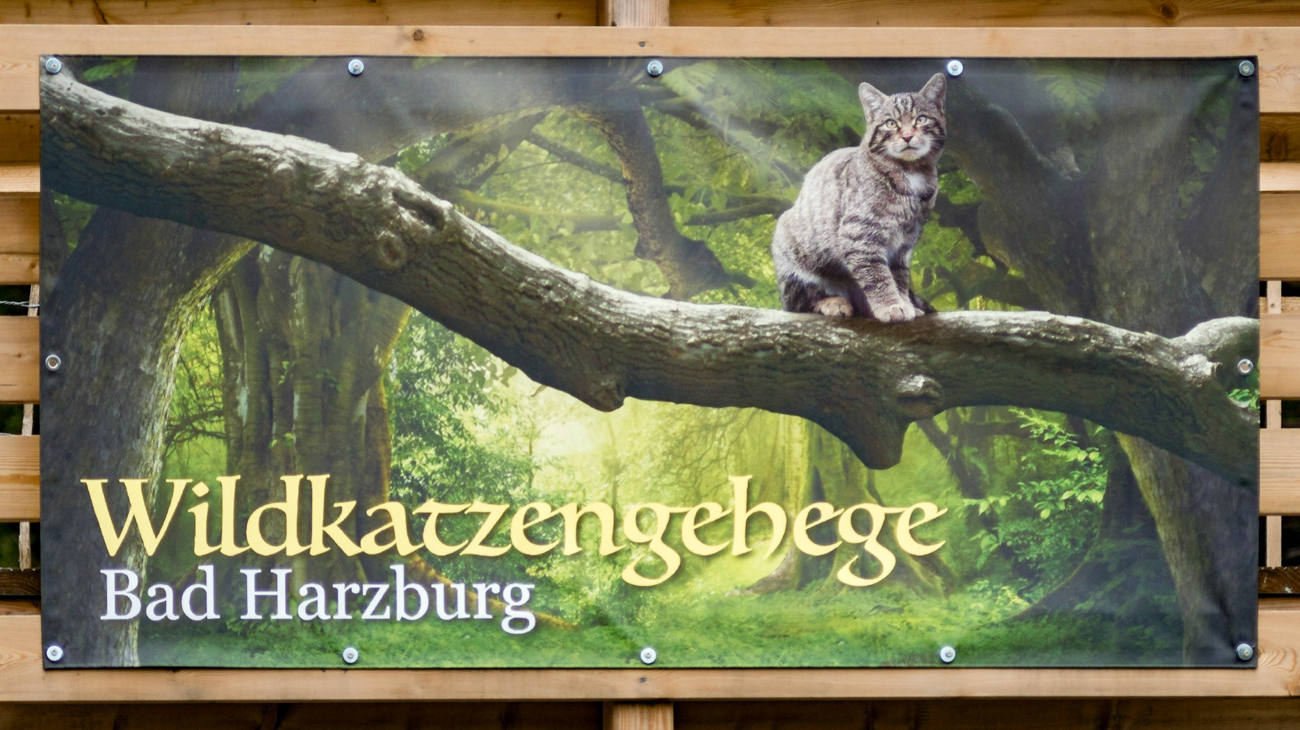 Sony ILCA-77M2 | 70-210mm F4 @ ISO 100 | 105 mm | f/4 | 1/640 s