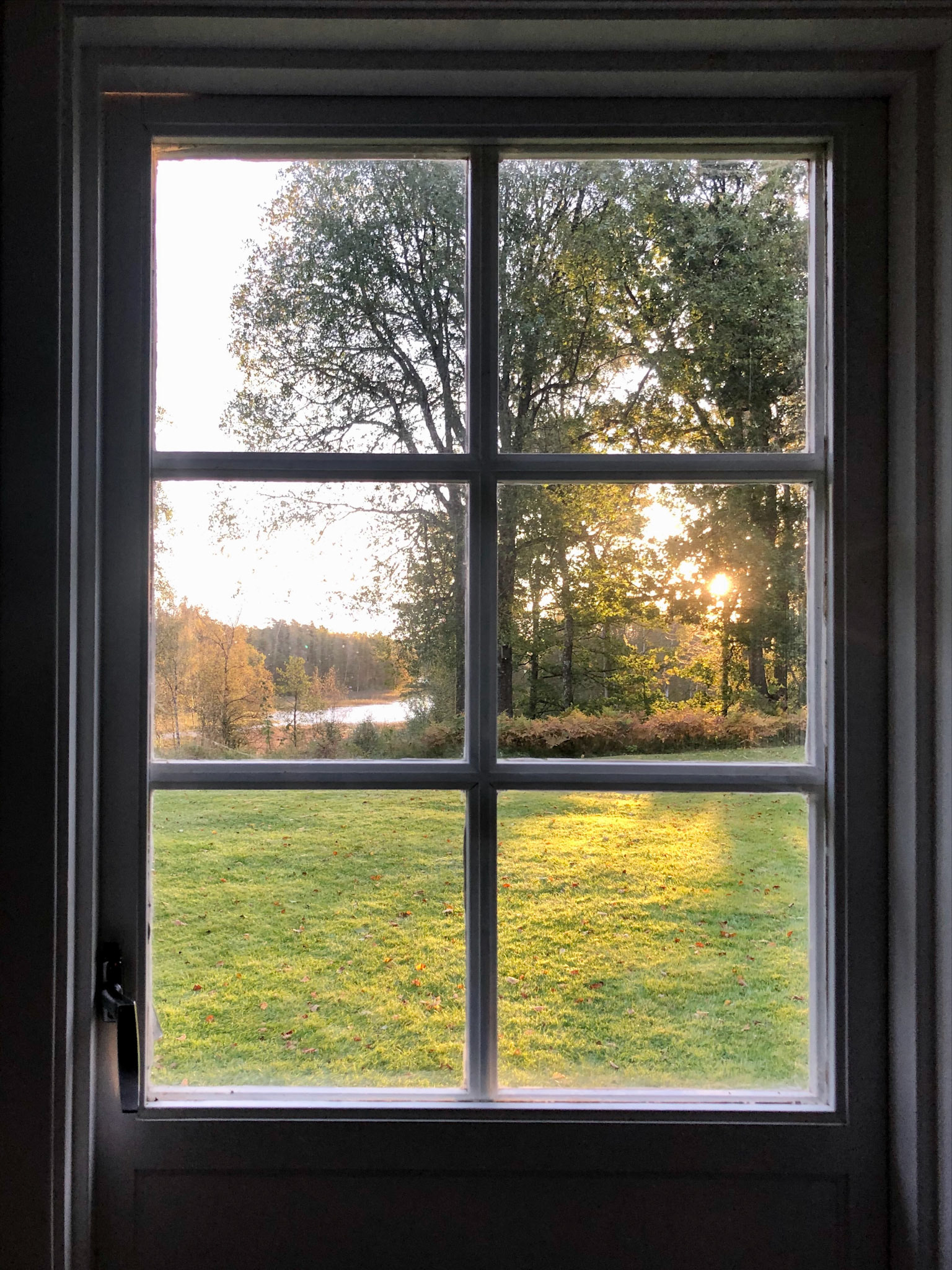 Aufwachen-Ausblick